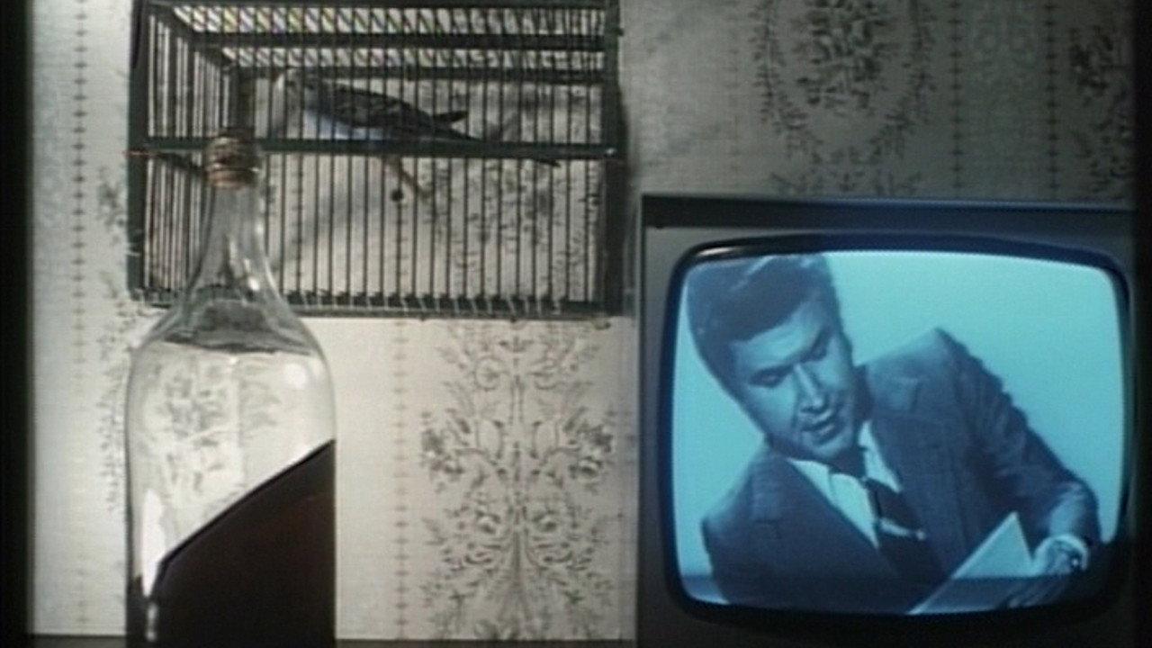 My Window 1979 movie scene