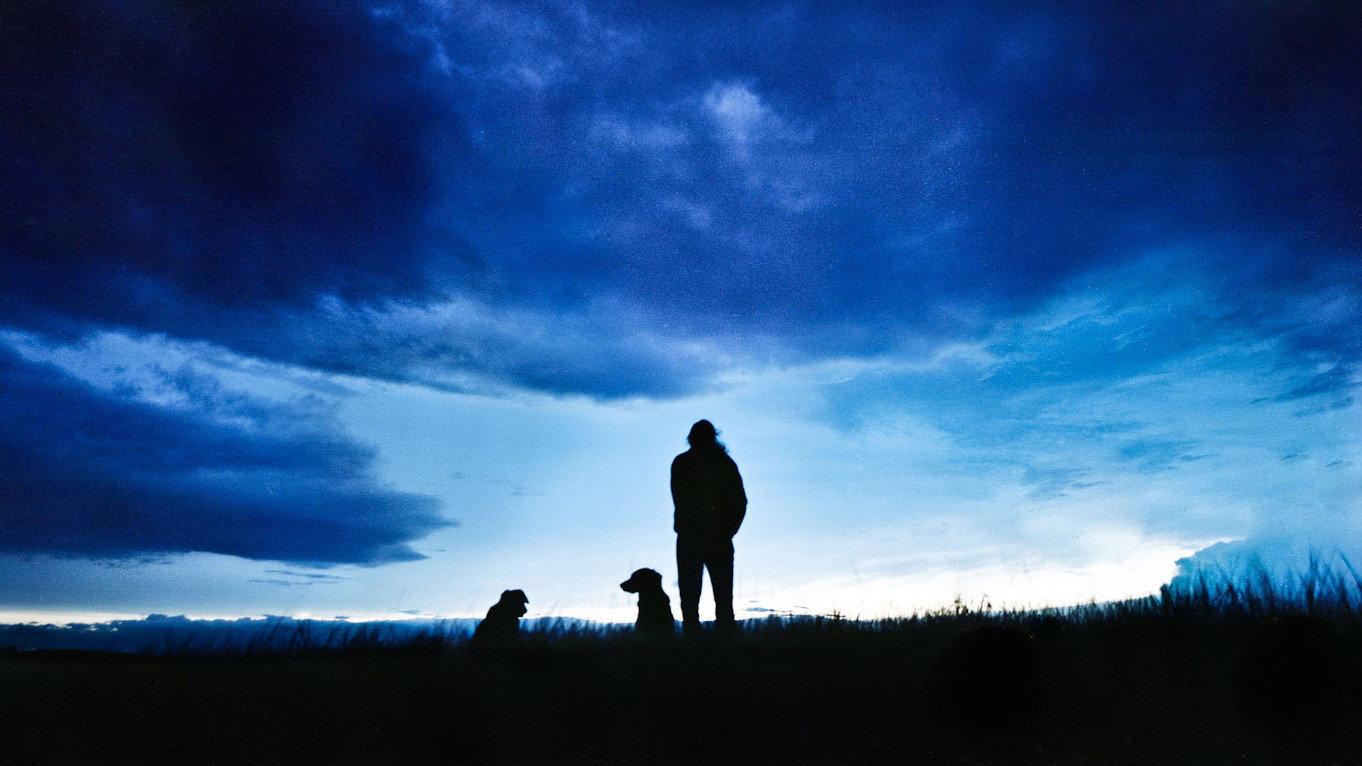 The Thick Dark Fog 2011 movie scene