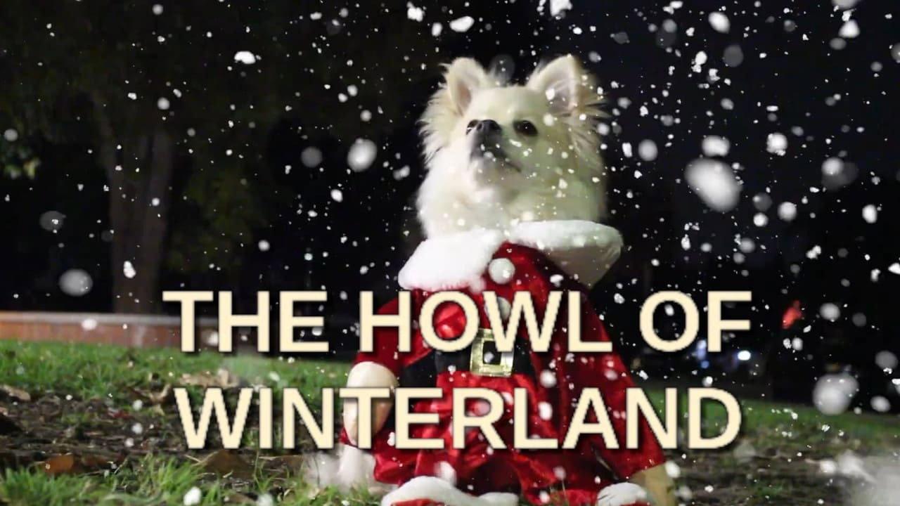 The Howl of Winterland 2021 movie scene