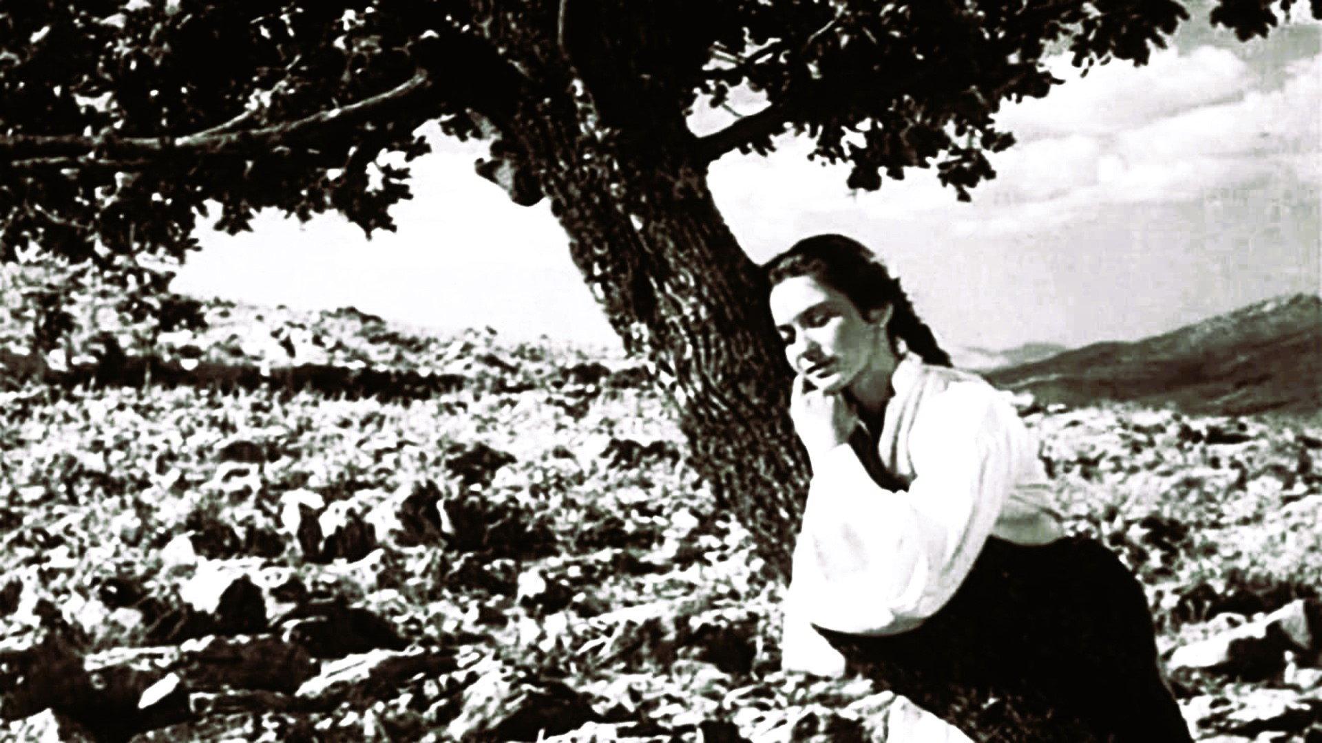 The Girl and the Oak 1955 movie scene