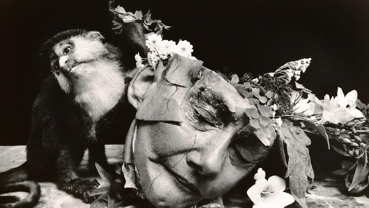 Witkin & Witkin 2017 movie scene
