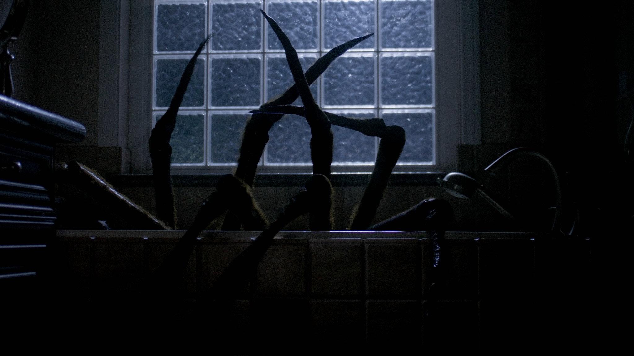 Night Spider 2026 movie scene