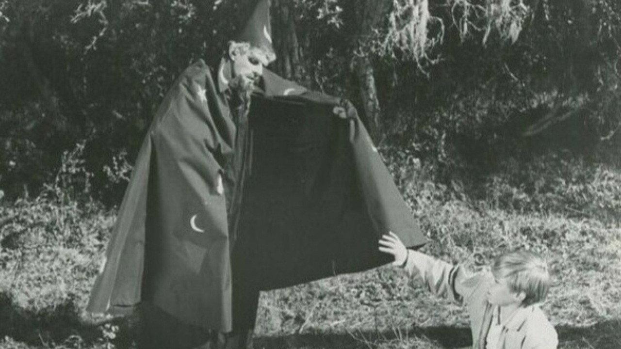 The Princess and the Magic Frog 1965 movie scene