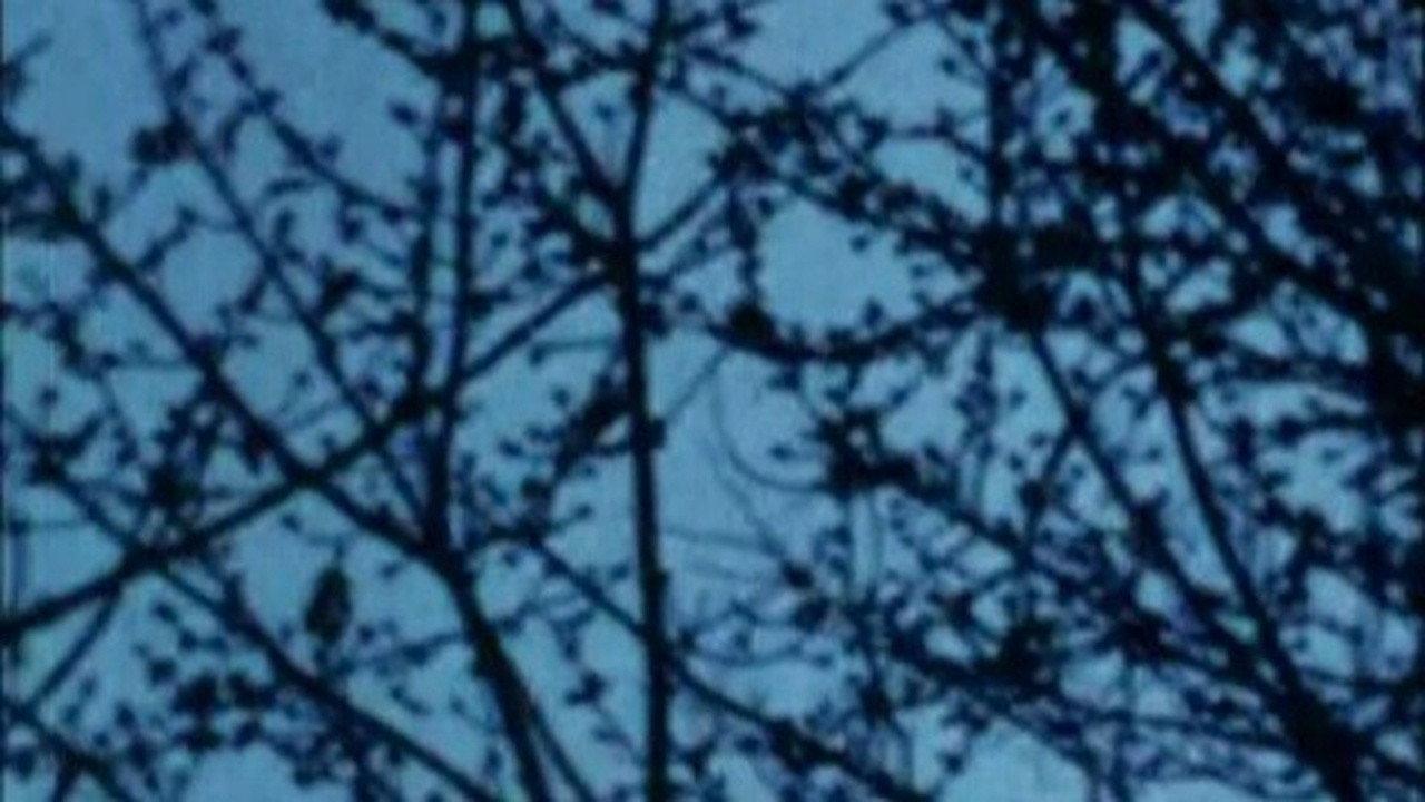 Burning 2002 movie scene