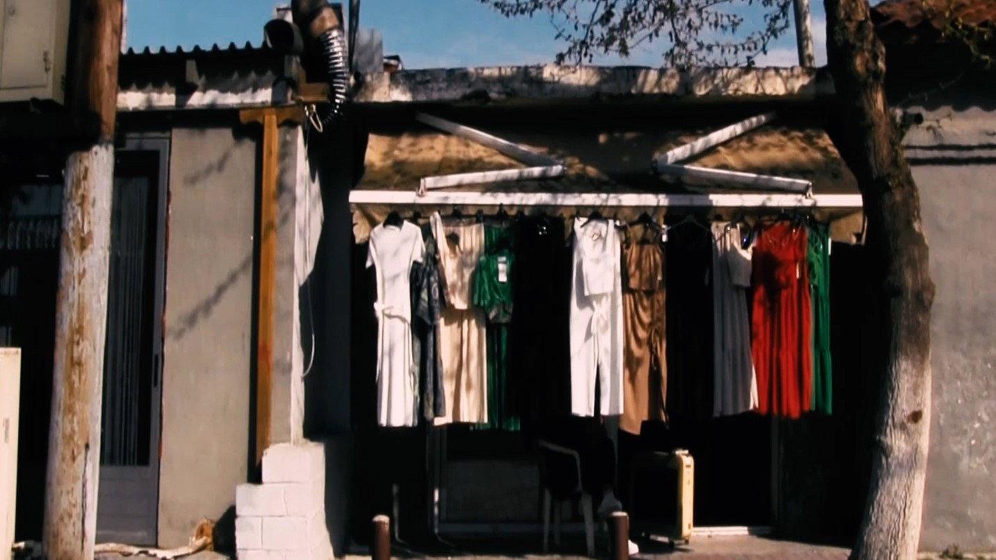 born and raised in Dendropotamos 2024 movie scene