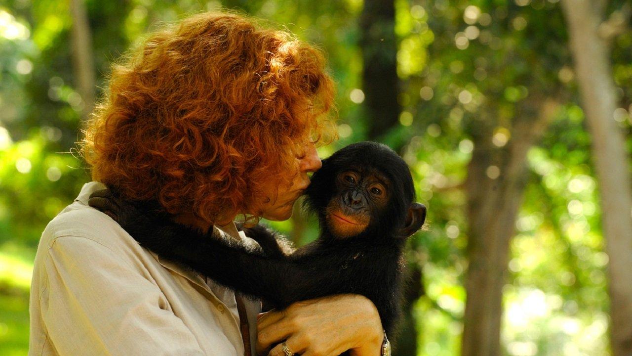 Bonobos: Back to the Wild 2011 movie scene