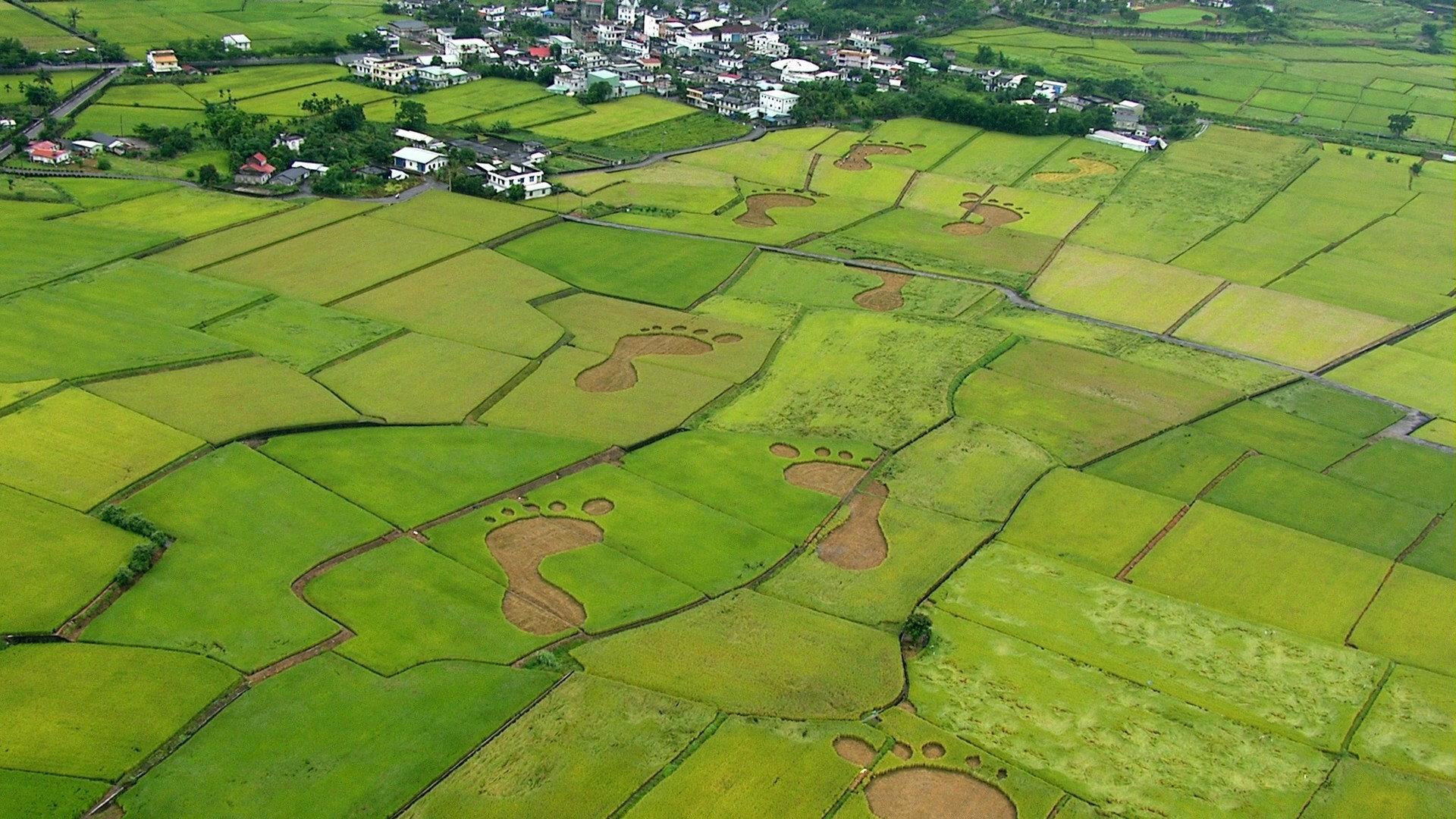 Beyond Beauty: Taiwan from Above 2013 movie scene