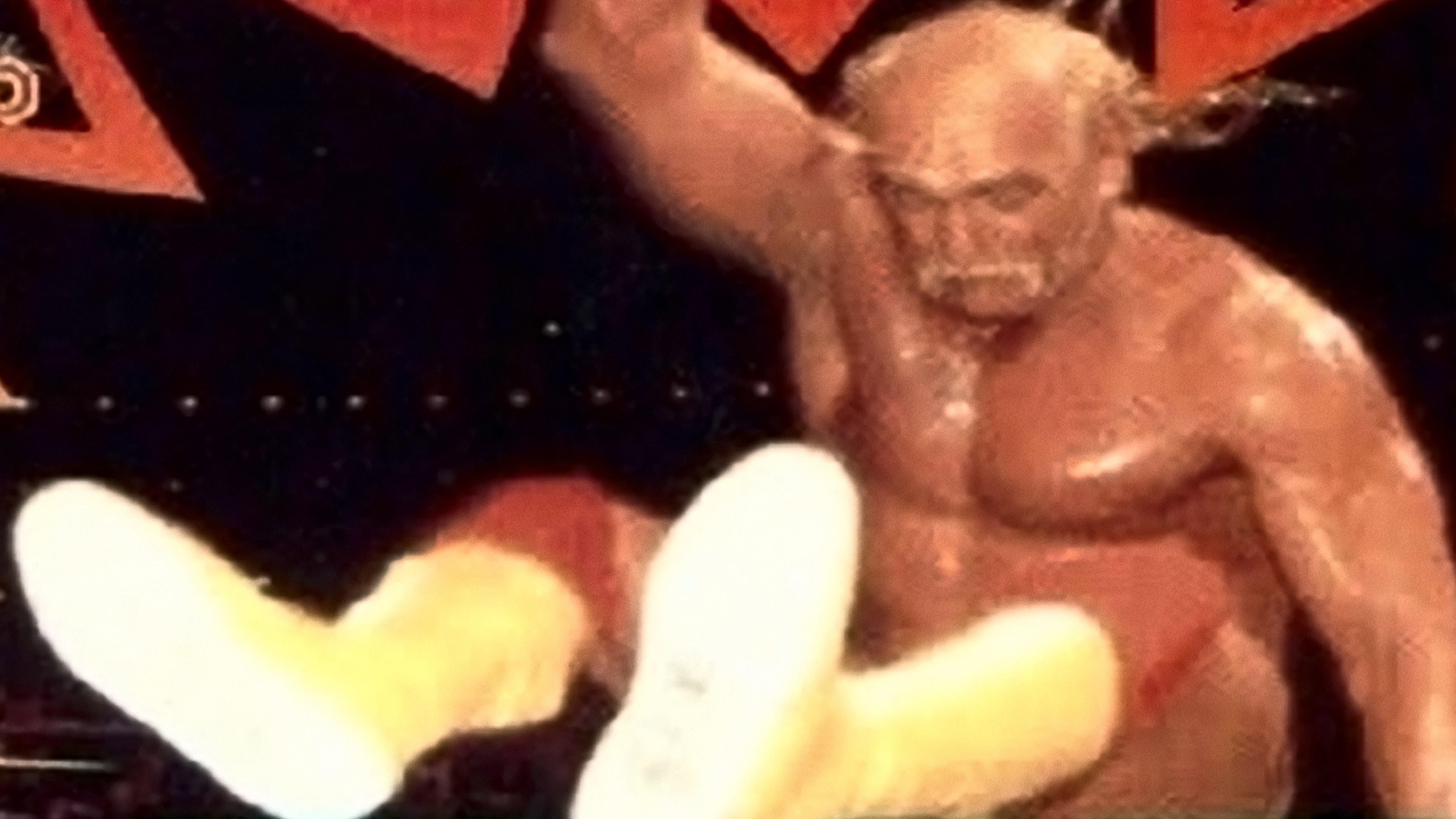 WCW Fall Brawl 1995 1995 movie scene
