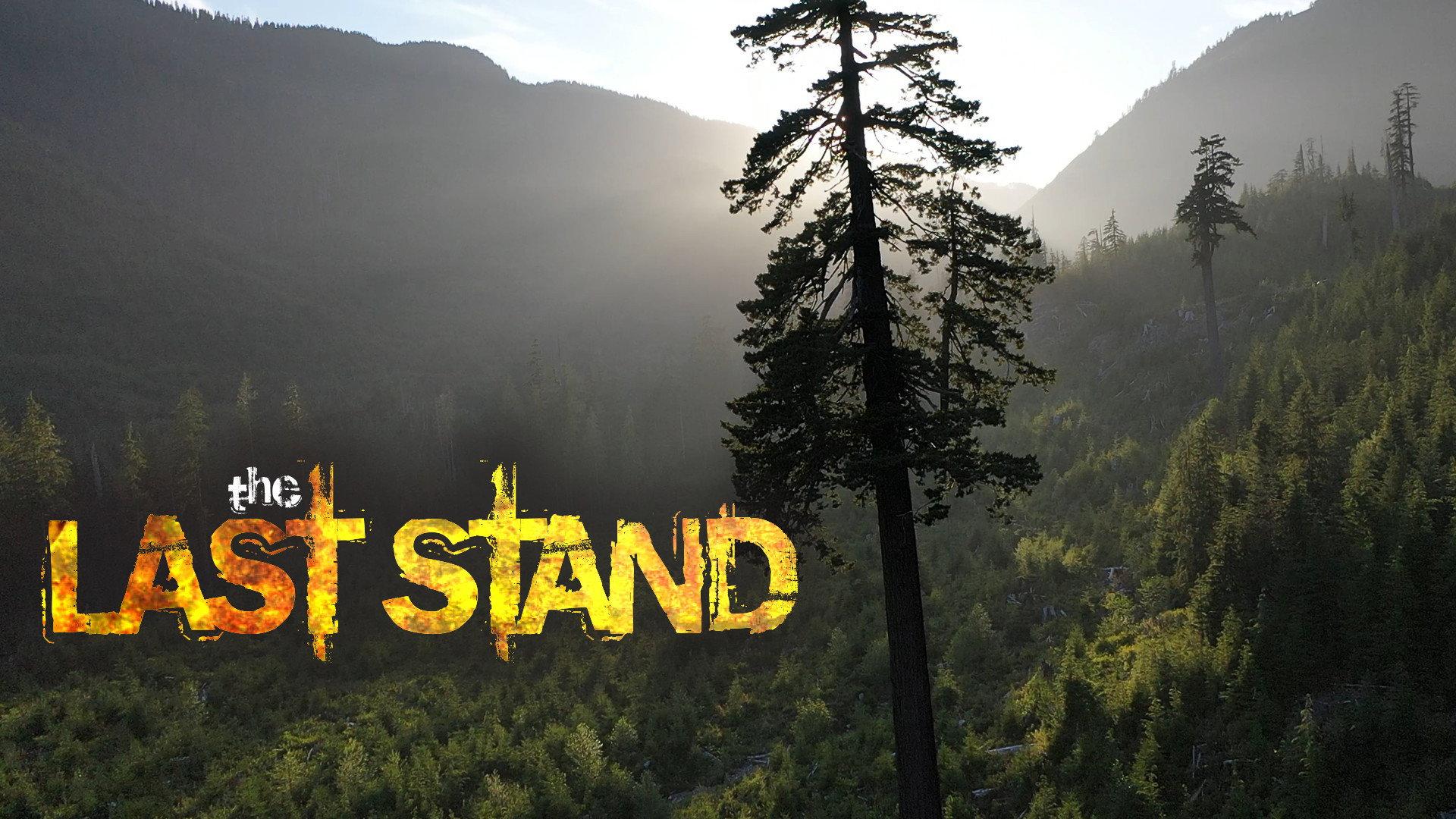 The Last Stand 2022 movie scene