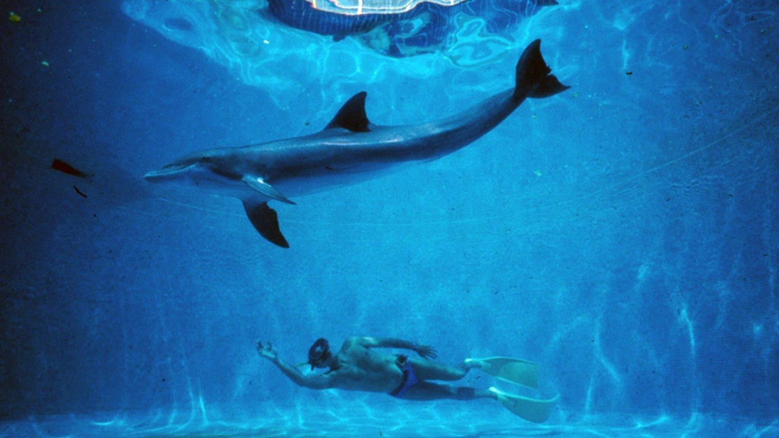 The Big Blue 1988 movie scene