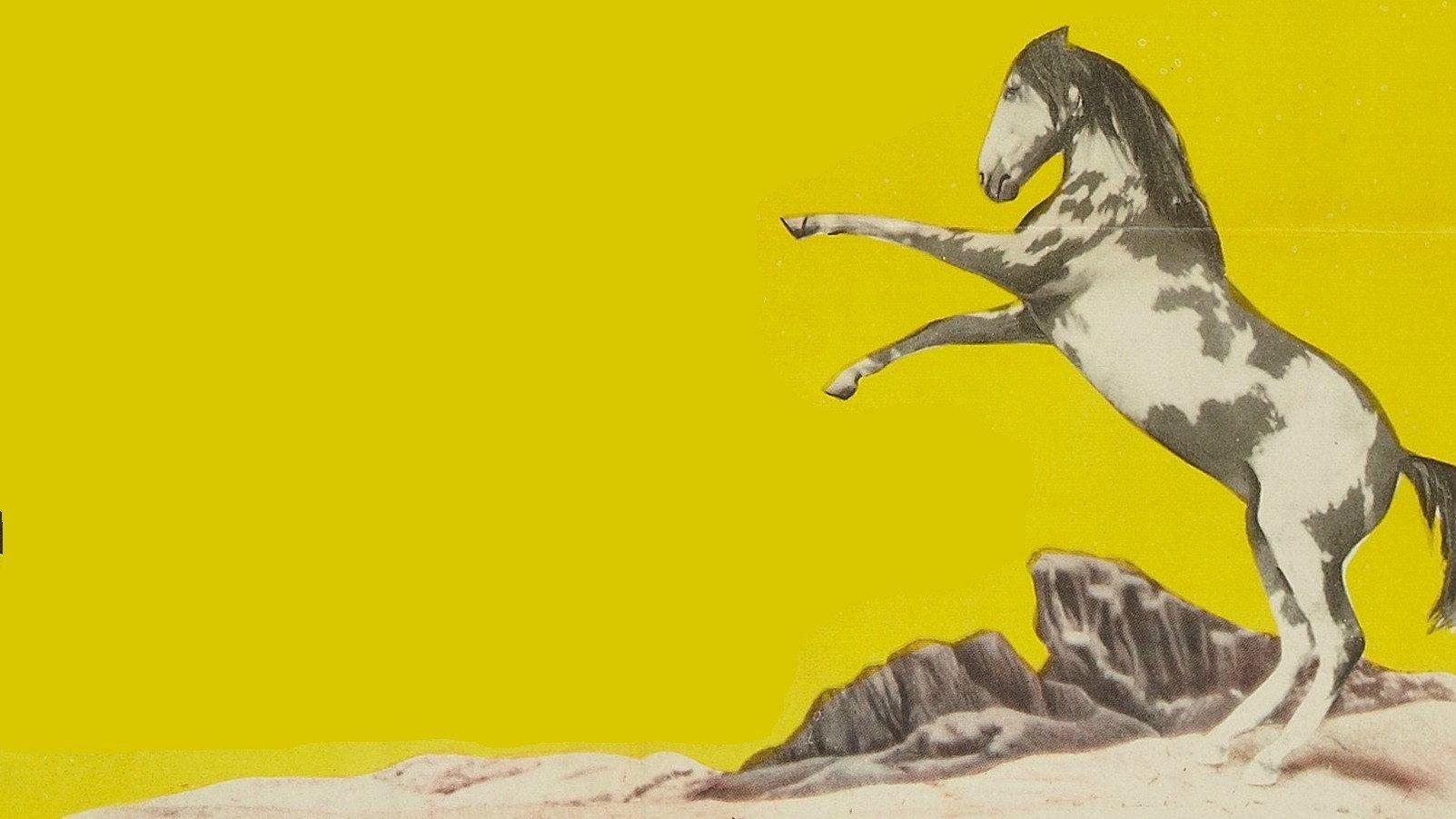 Thunderhoof 1948 movie scene