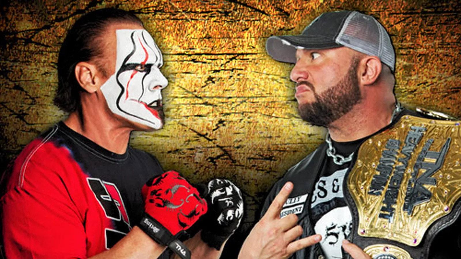 TNA Slammiversary XI 2013 movie scene