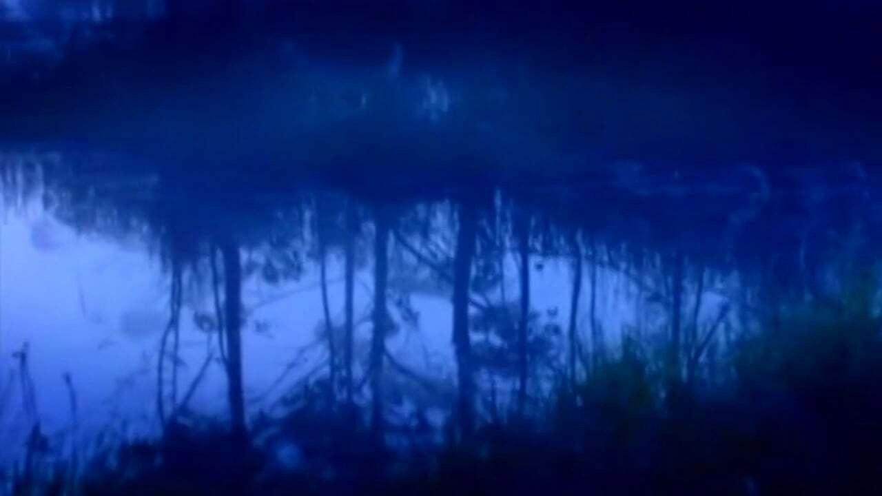 Os Melhores Anos de Nossas Vidas 2003 movie scene