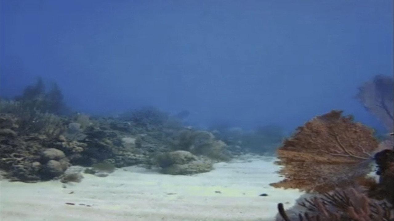 Tank Fantasy 2025 movie scene