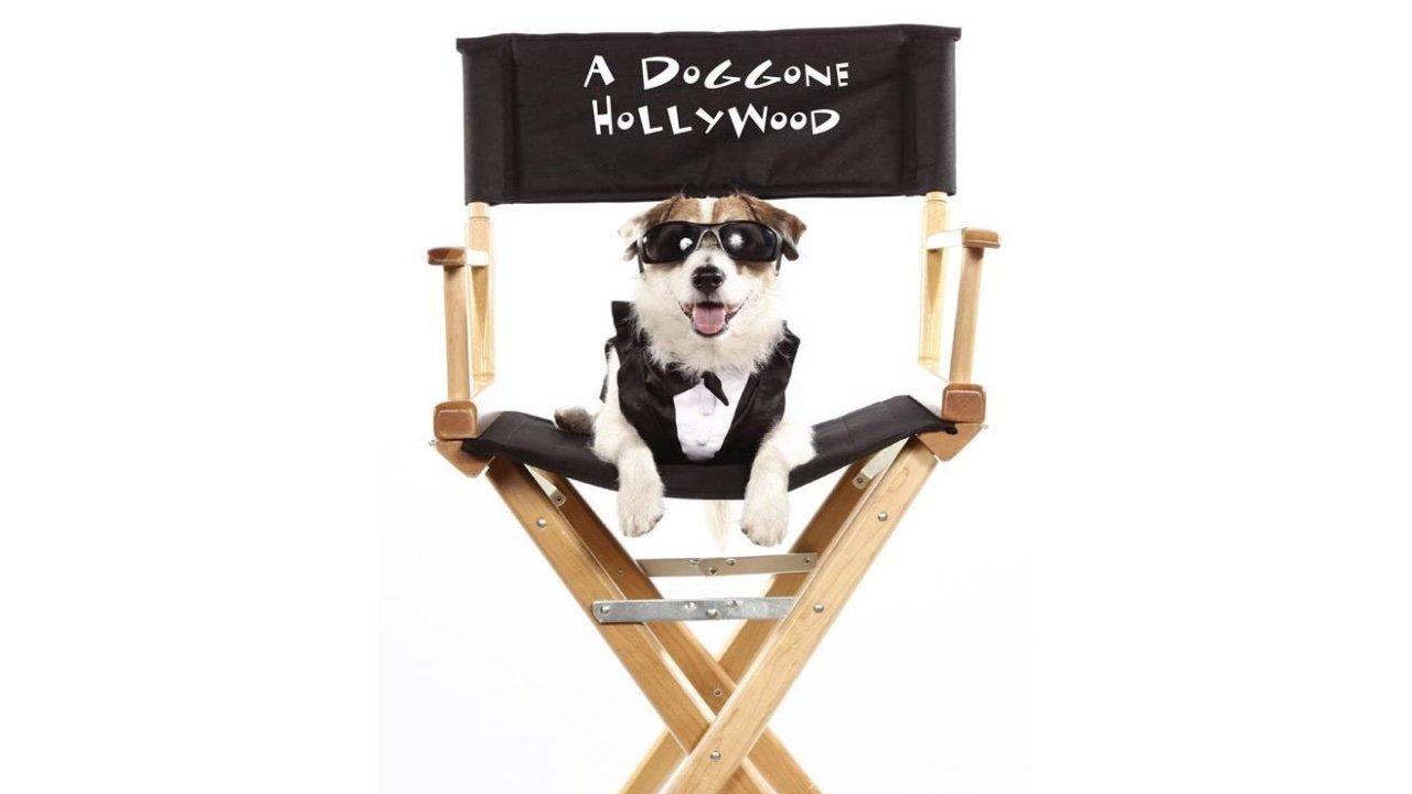 A Doggone Hollywood 2017 movie scene