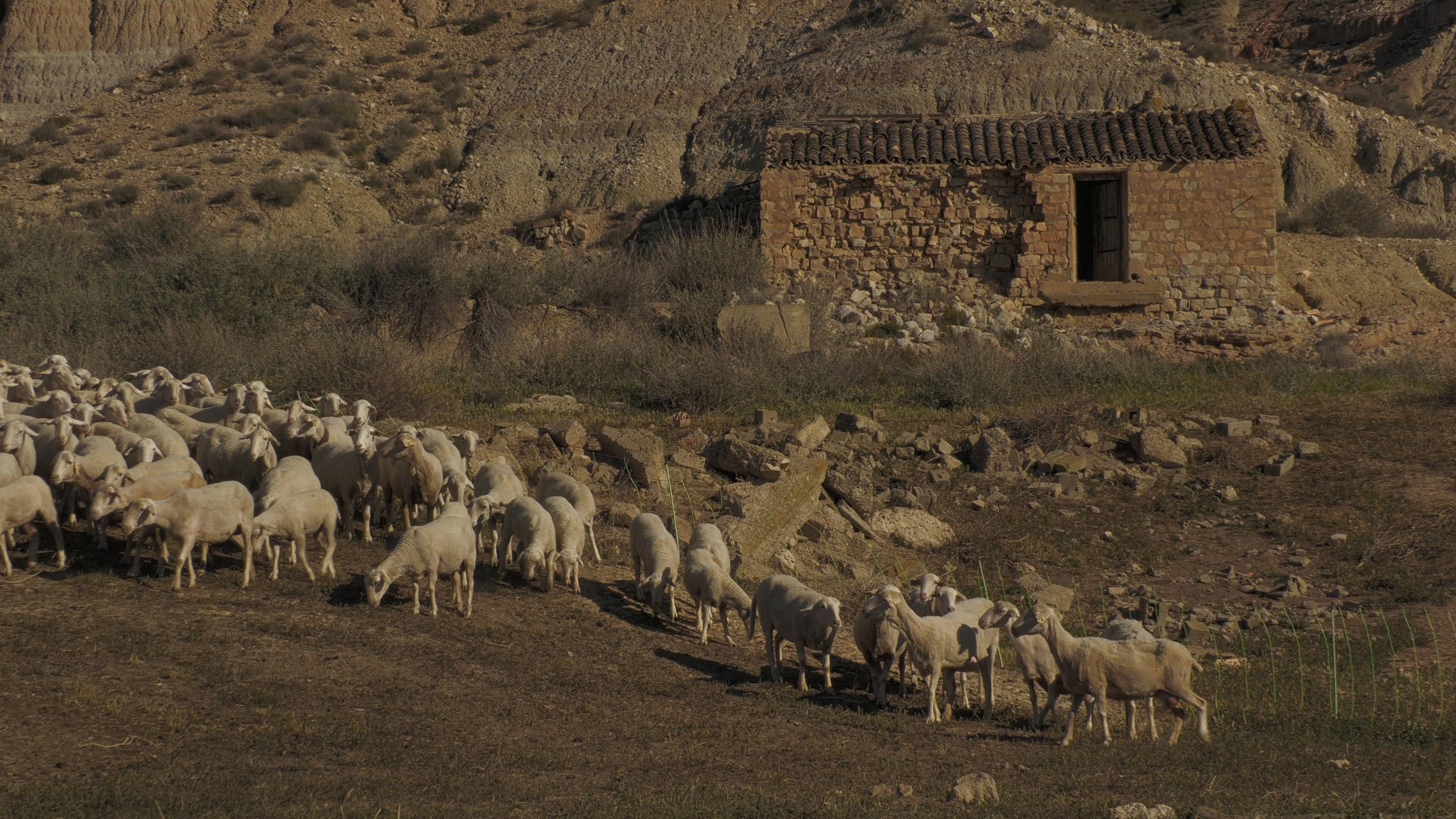 Cierzo 2022 movie scene