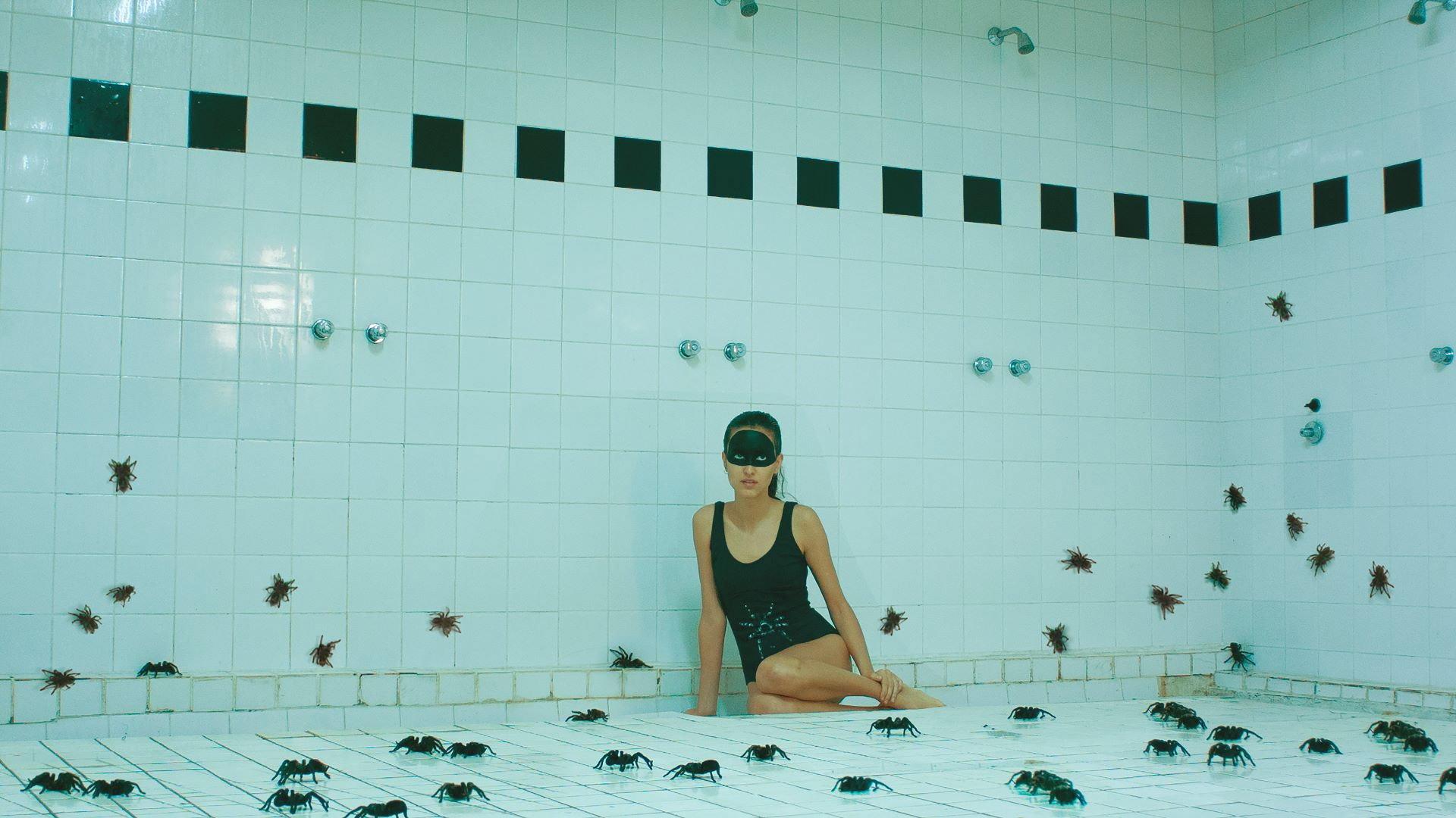 Arachnids 2015 movie scene