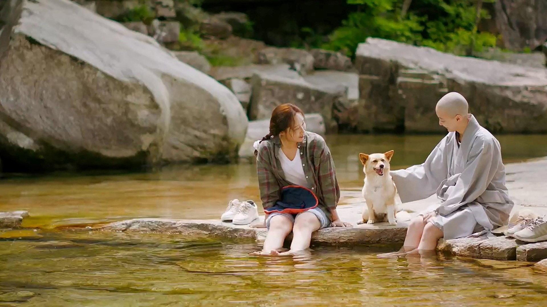 Mungyeong: More than Roads 2024 movie scene
