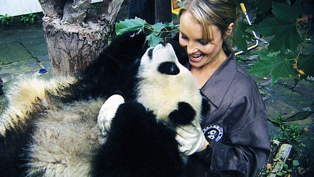 Sneezing Baby Panda: The Movie 2014 movie scene