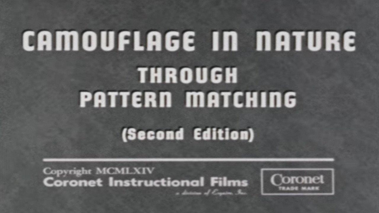 Camouflage In Nature: Through Pattern Matching (Second Edition) 1964 movie scene