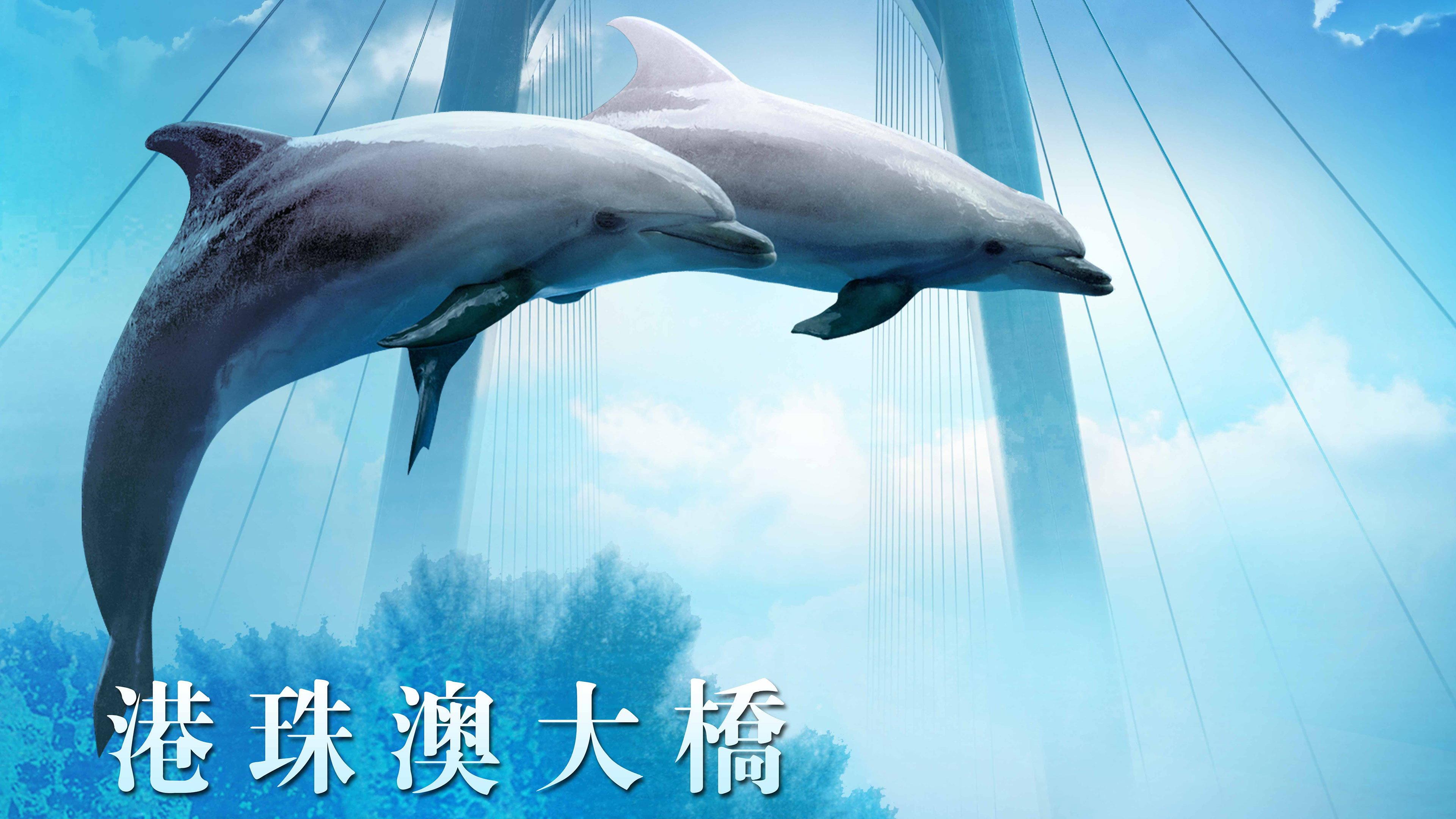 Hong Kong-Zhuhai-Macao Bridge 2019 movie scene