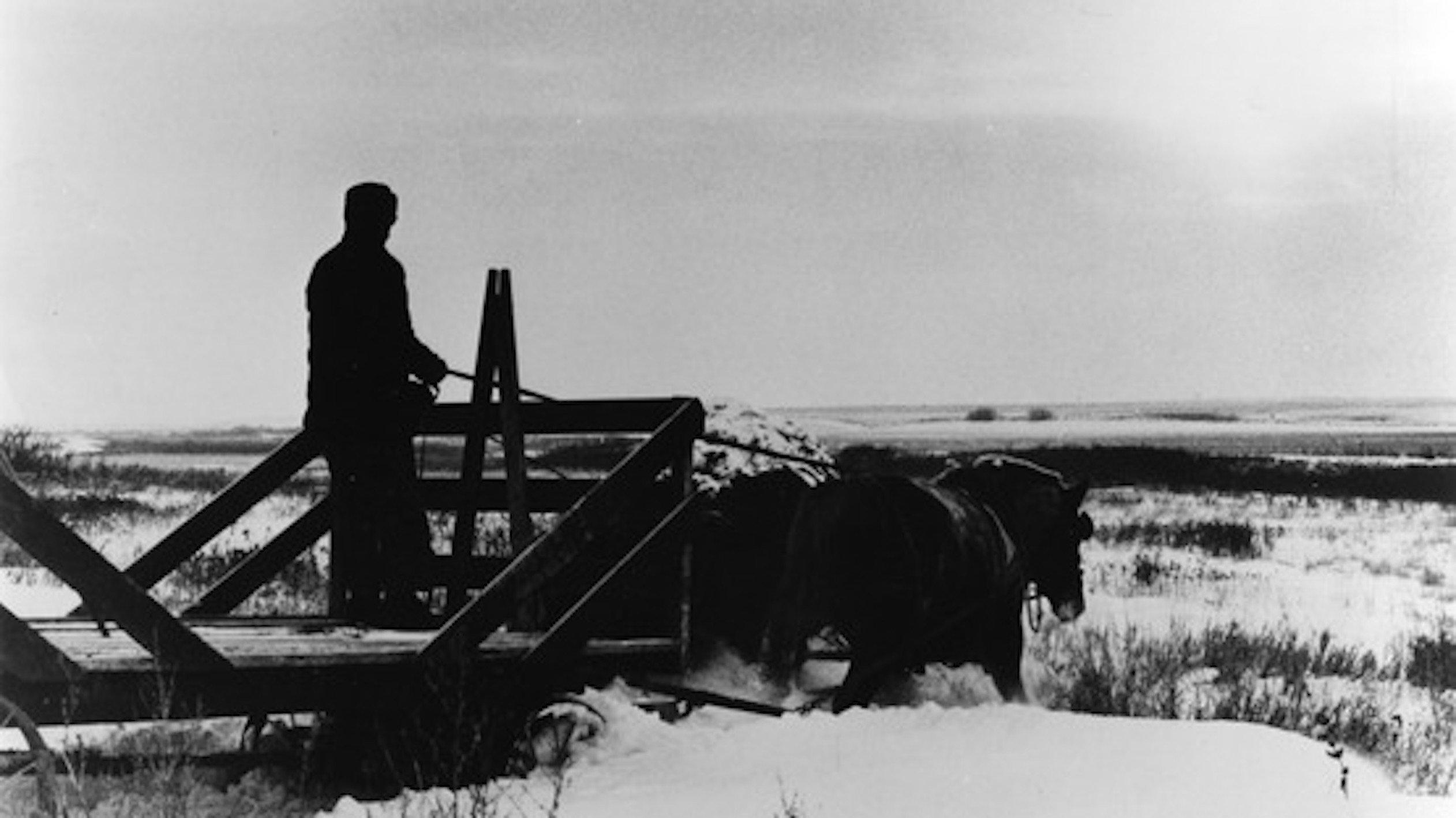 Northern Lights 1978 movie scene