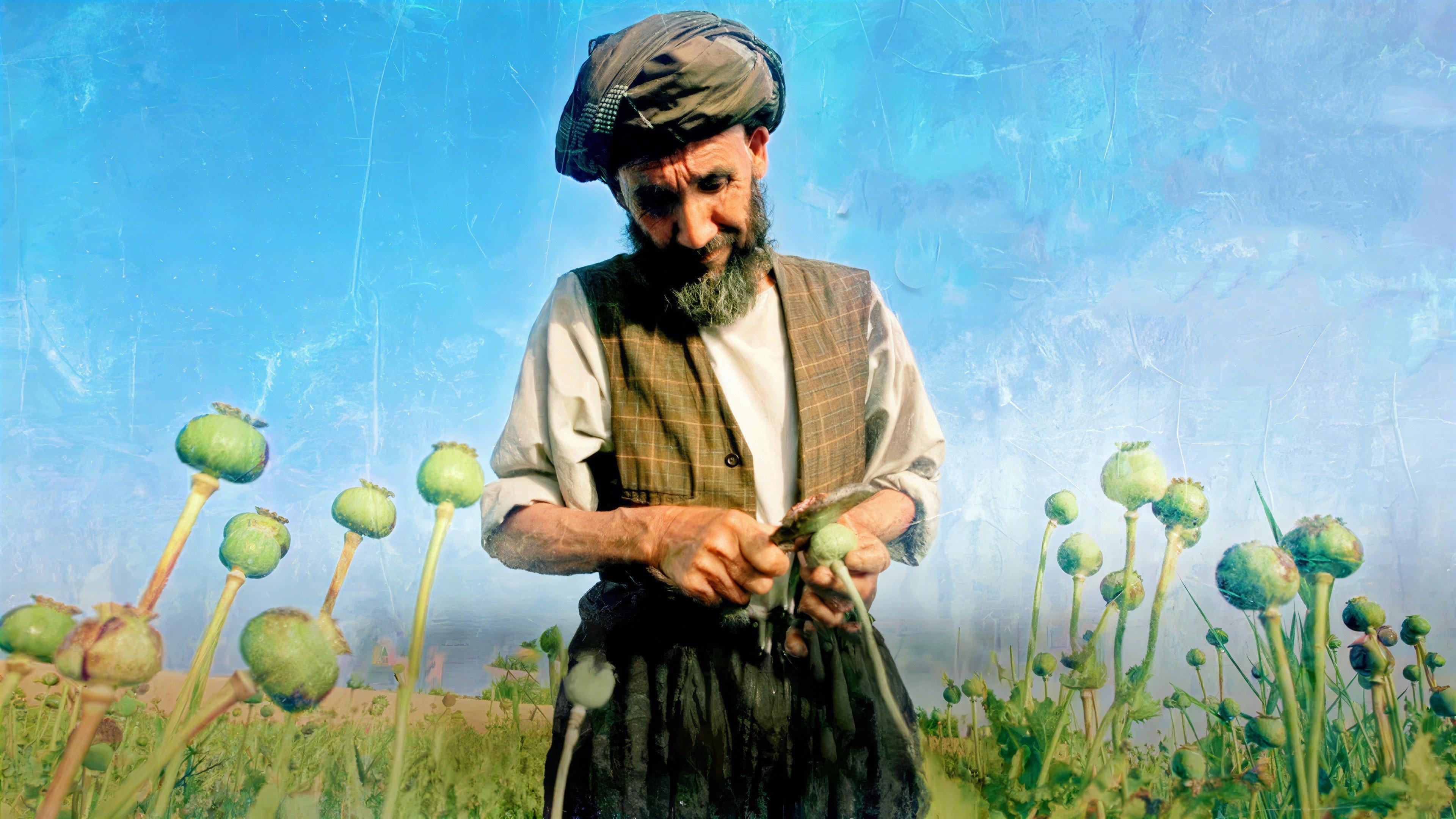 Afghanistan's Opium Trail 2007 movie scene