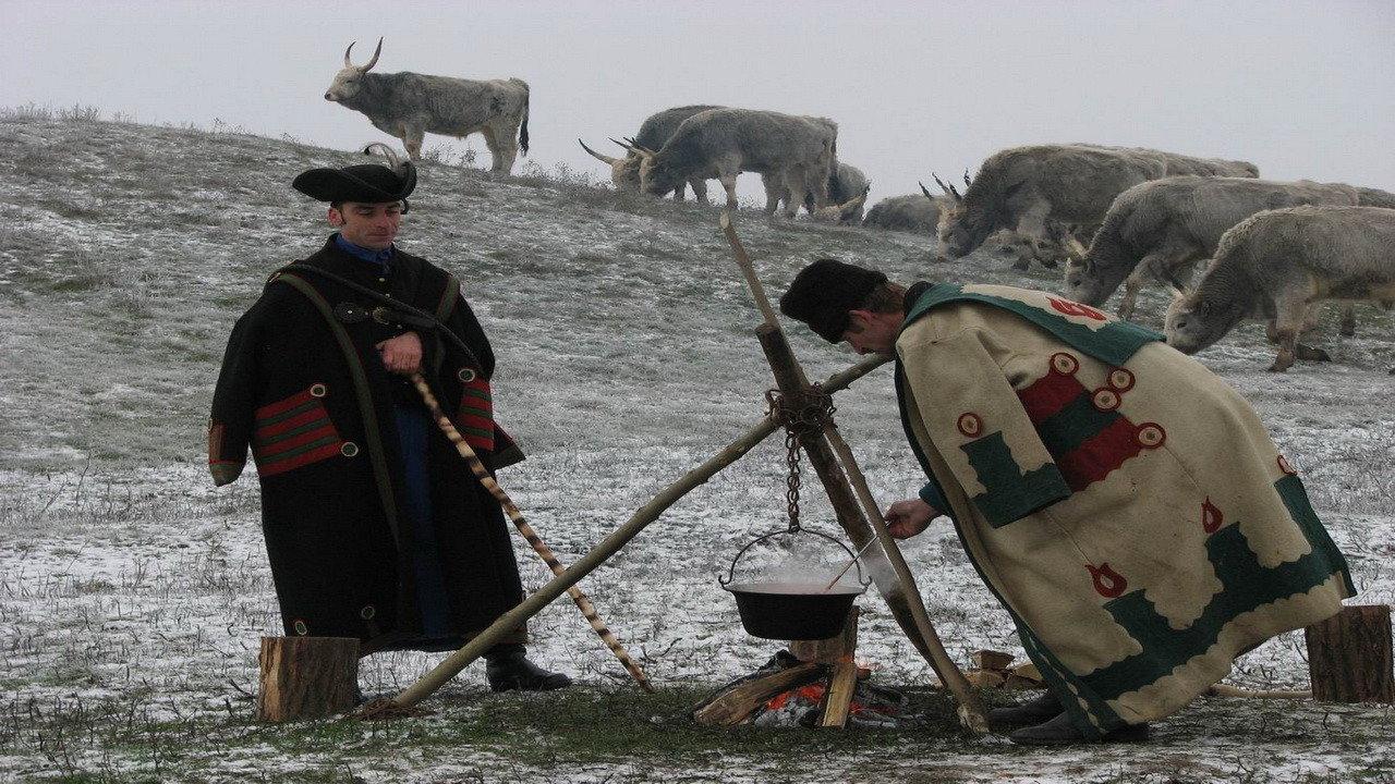 Wild Hungary – A Water Wonderland 2011 movie scene