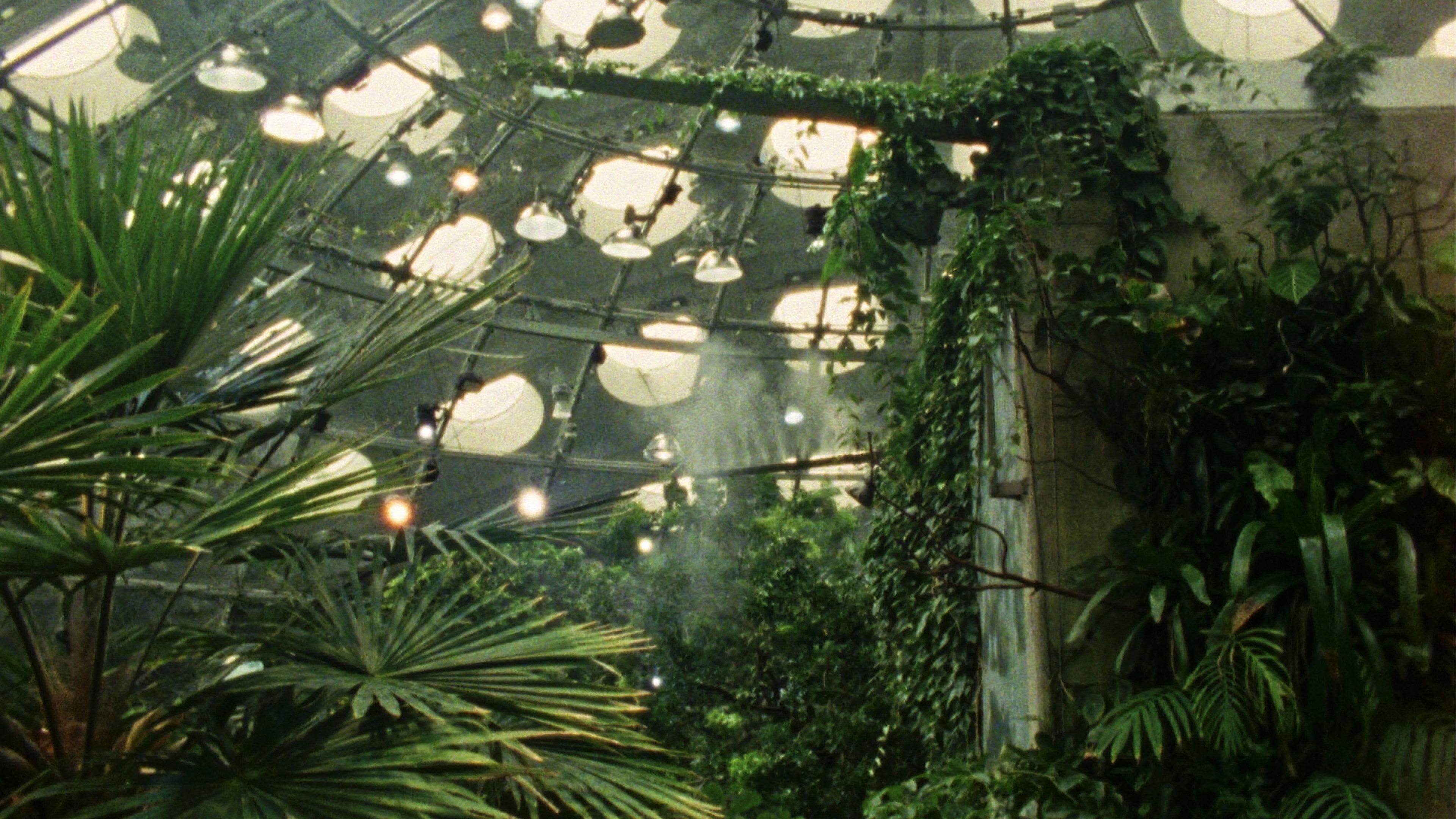 Tropical Fractals 2026 movie scene