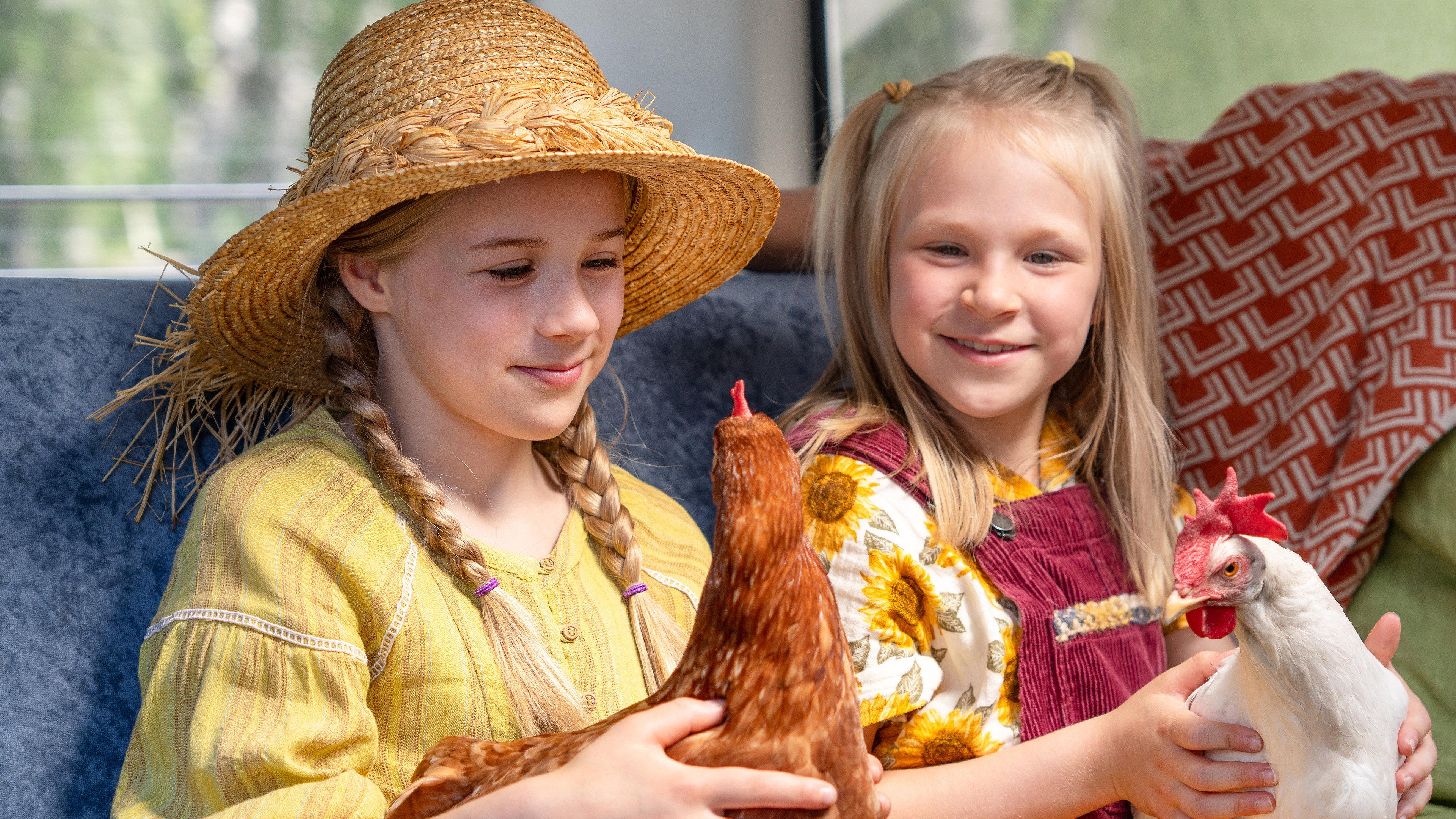 Hayflower, Quiltshoe and the Chicken 2024 movie scene