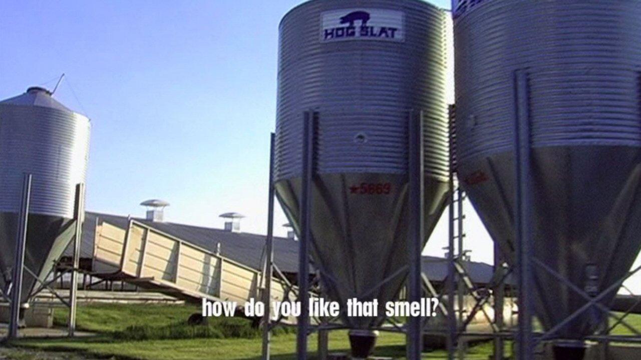 Fresh 2009 movie scene