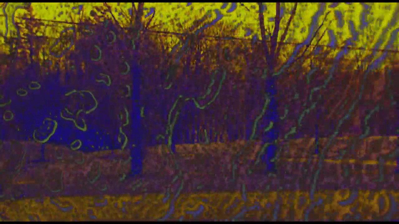 Joose Psychedelia Test 2013 movie scene