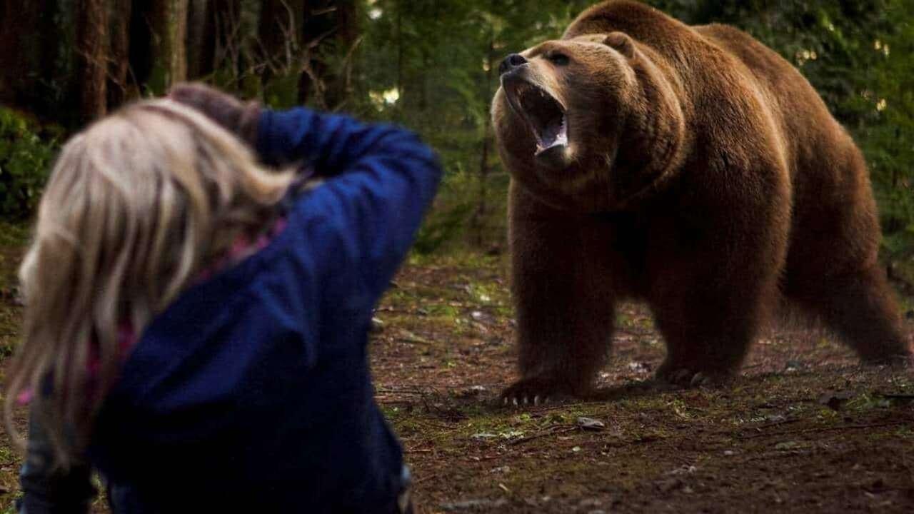 Grizzly Rage 2007 movie scene