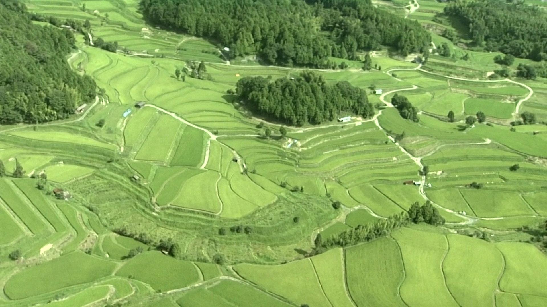 Satoyama I: Japan's Secret Watergarden 1999 movie scene