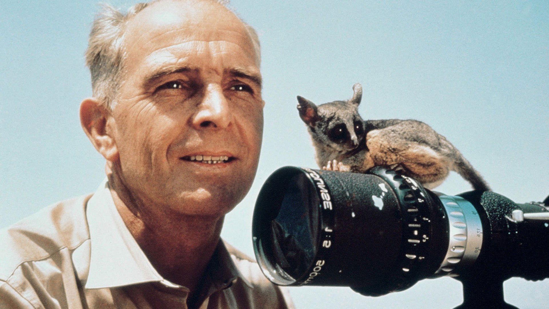 Serengeti Shall Not Die 1959 movie scene
