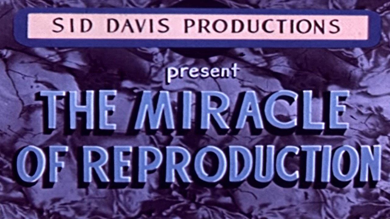 The Miracle of Reproduction 1963 movie scene