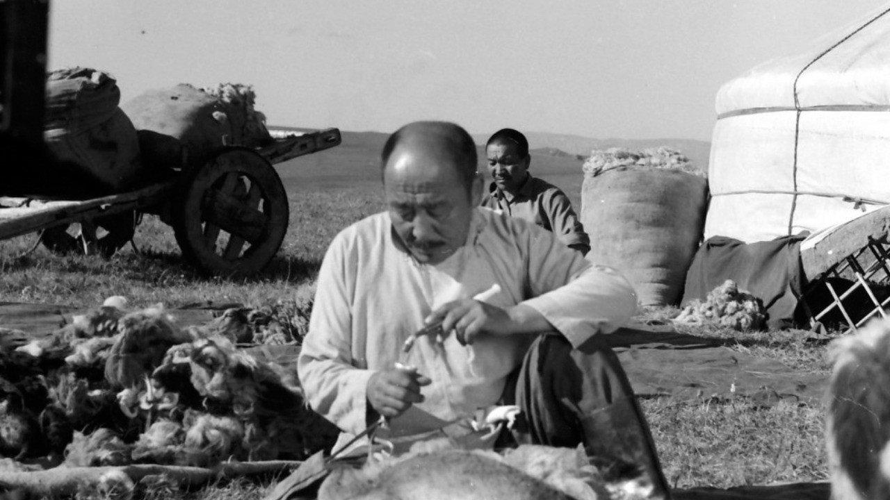Mist of a New Grass 1977 movie scene