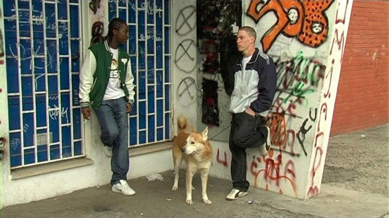 John and the Dog 2008 movie scene