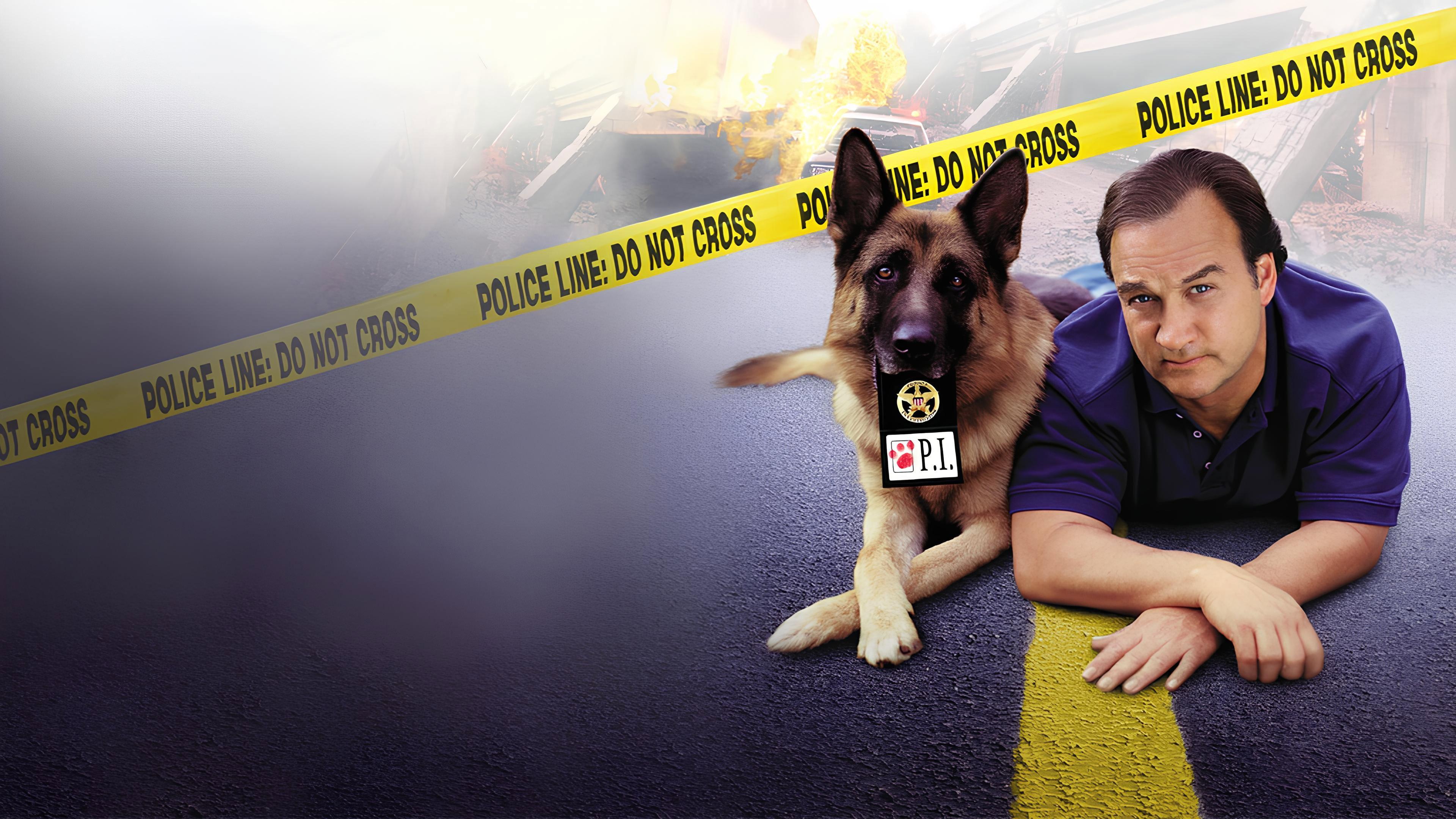 K-9: P.I. 2002 movie scene