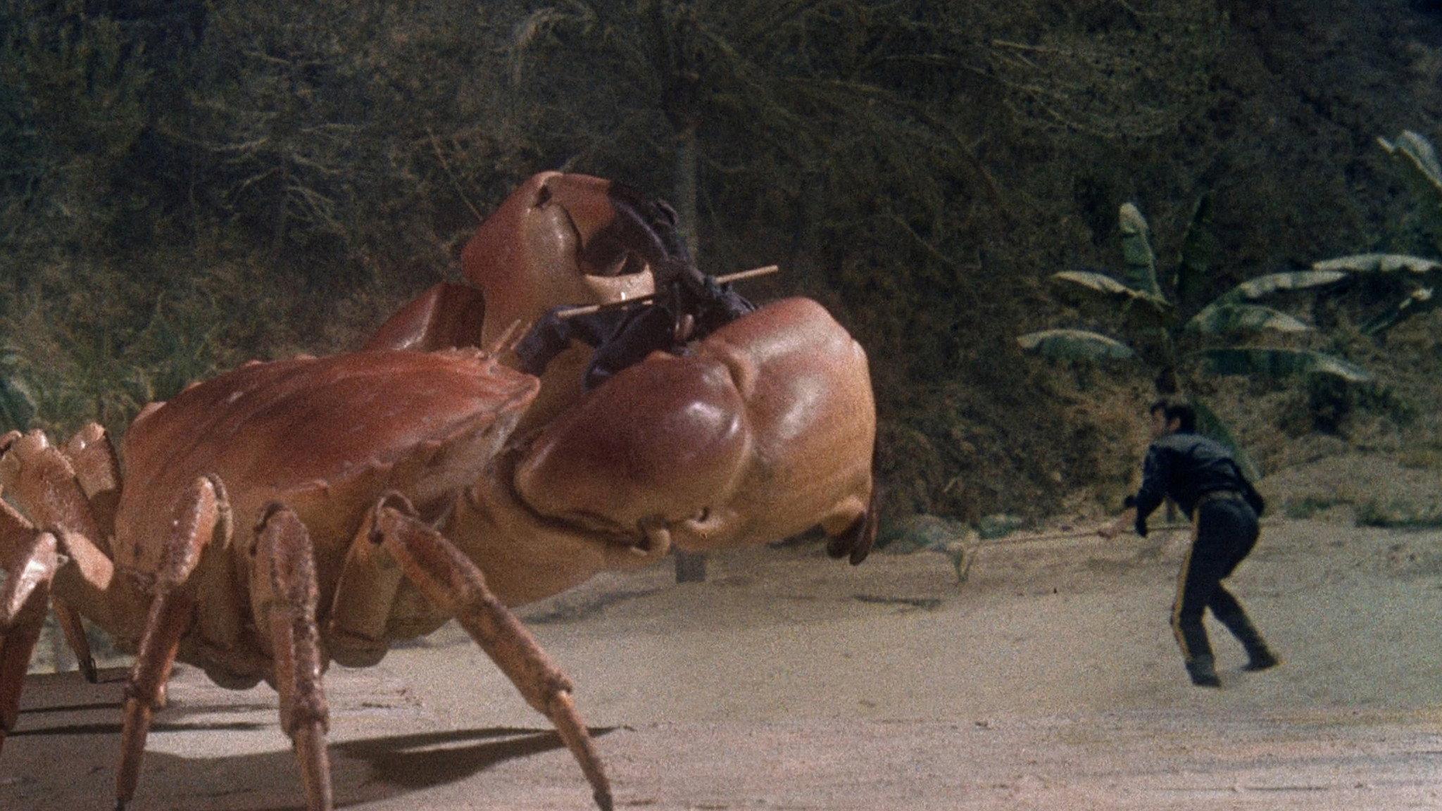 Island Claws 1980 movie scene