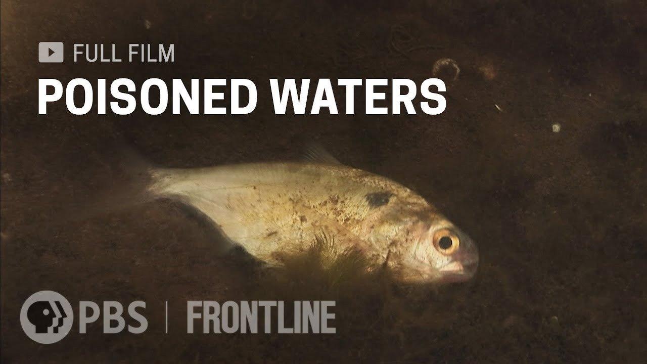 Poisoned Waters 2009 movie scene