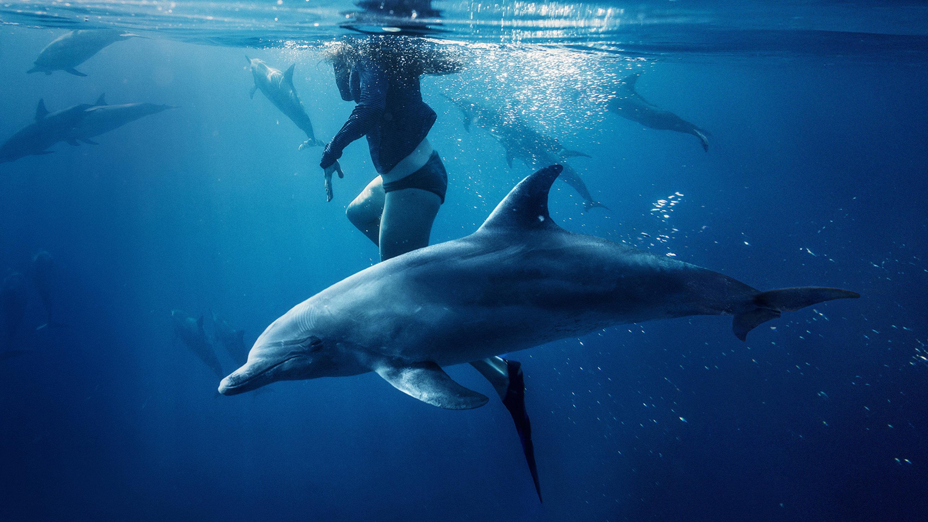 Saved From a Shark 2023 movie scene
