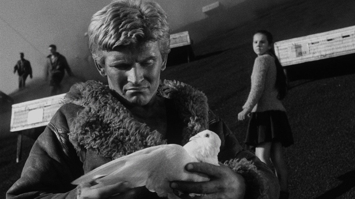 The White Dove 1960 movie scene