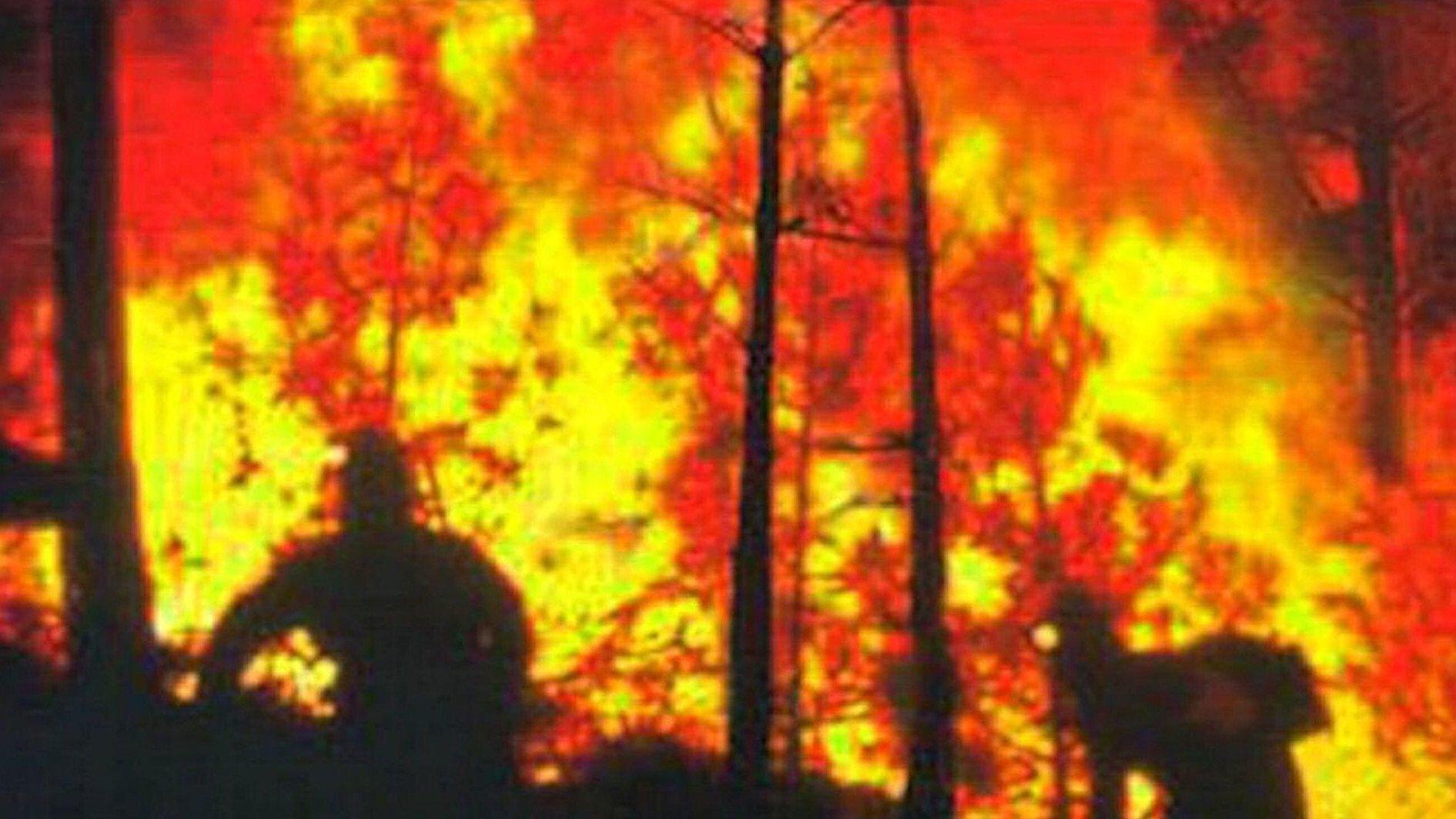 In the Line of Duty: Smoke Jumpers 1996 movie scene