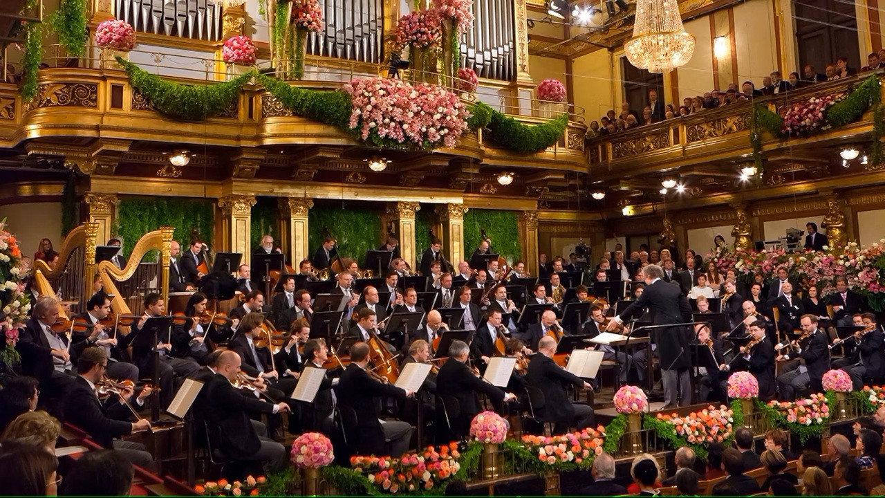 New Year's Concert 2011 - Vienna Philharmonic movie scene