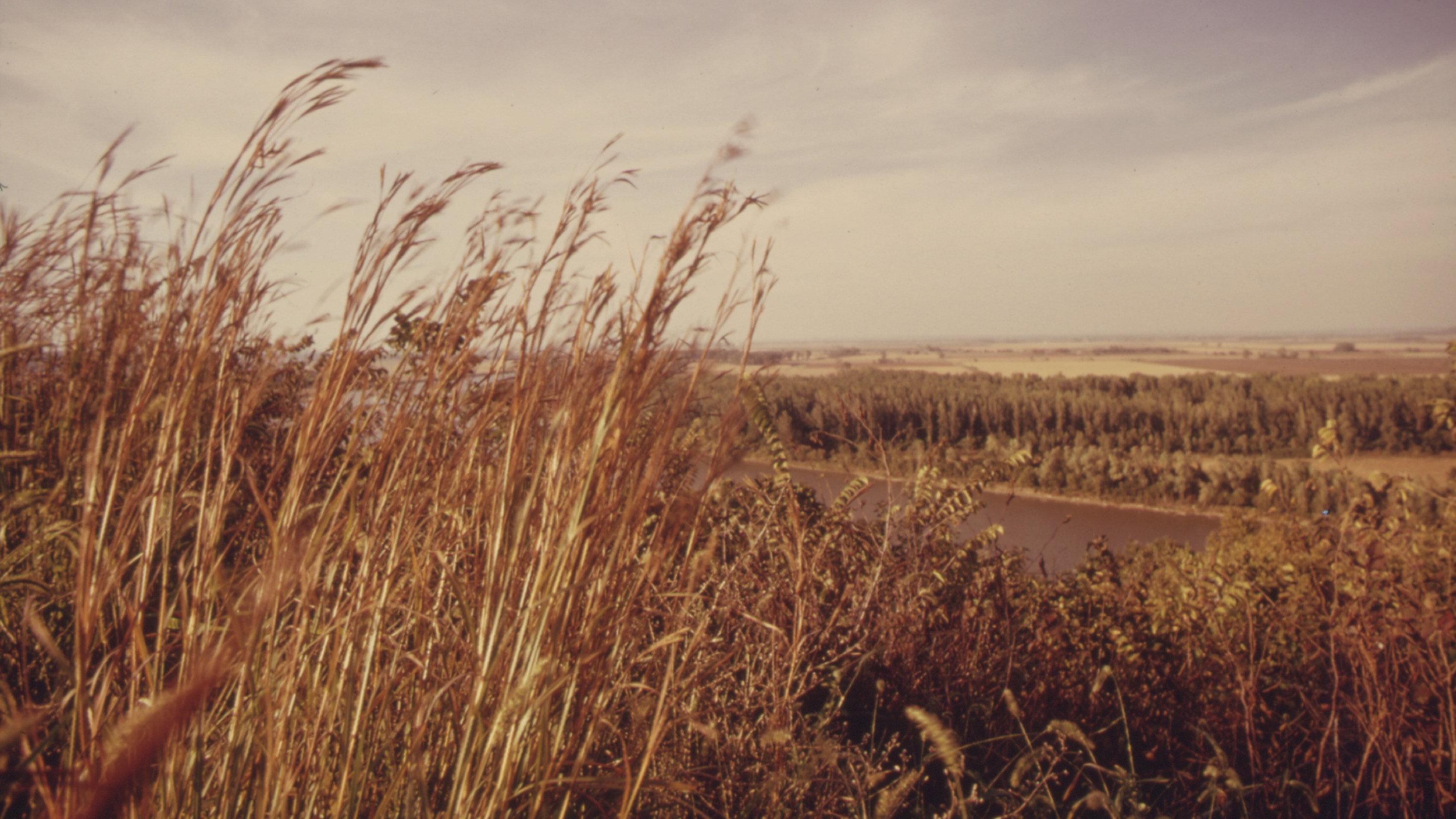 America's Lost Landscape: The Tallgrass Prairie 2005 movie scene