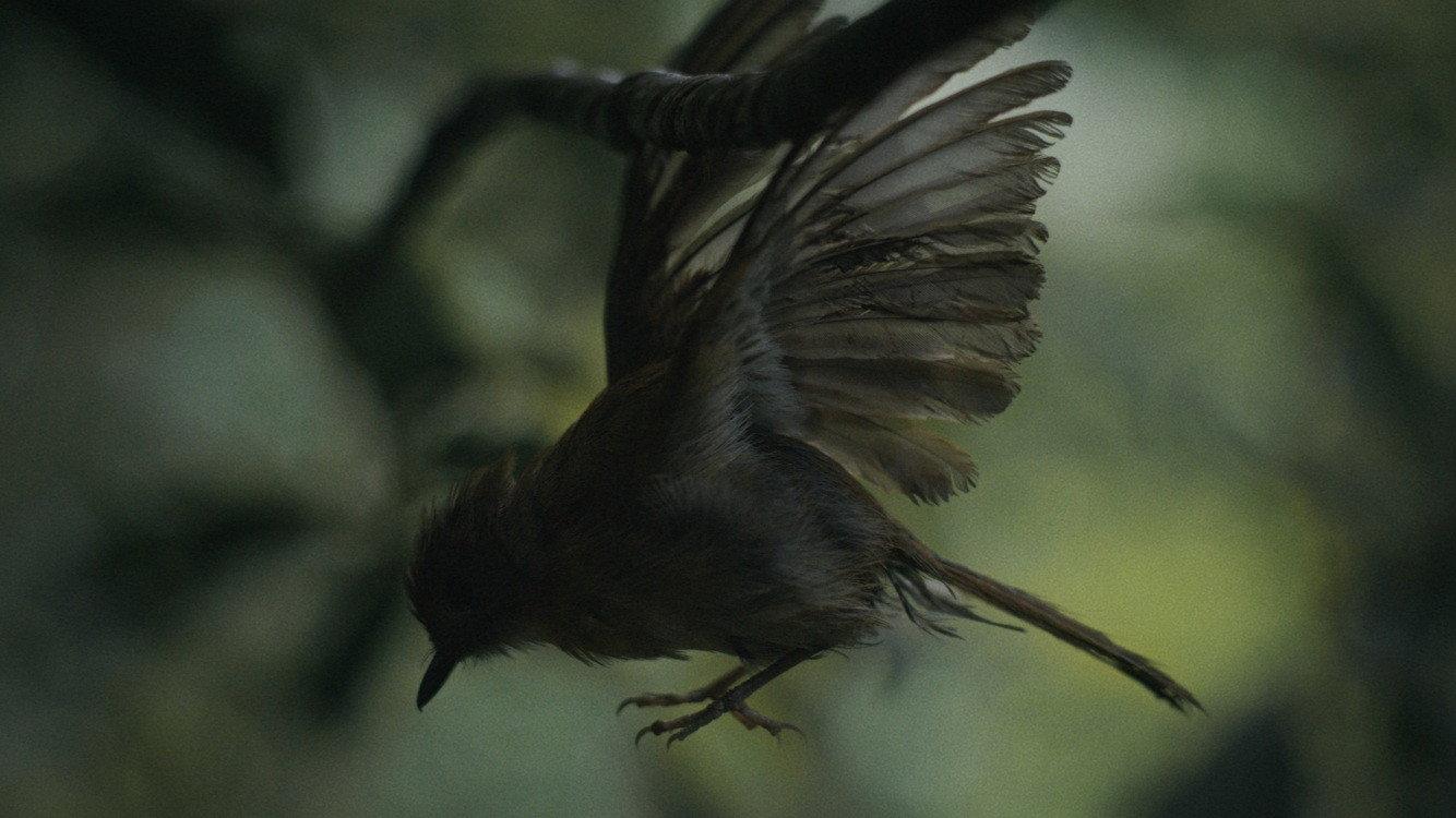 Broken Wings 2025 movie scene