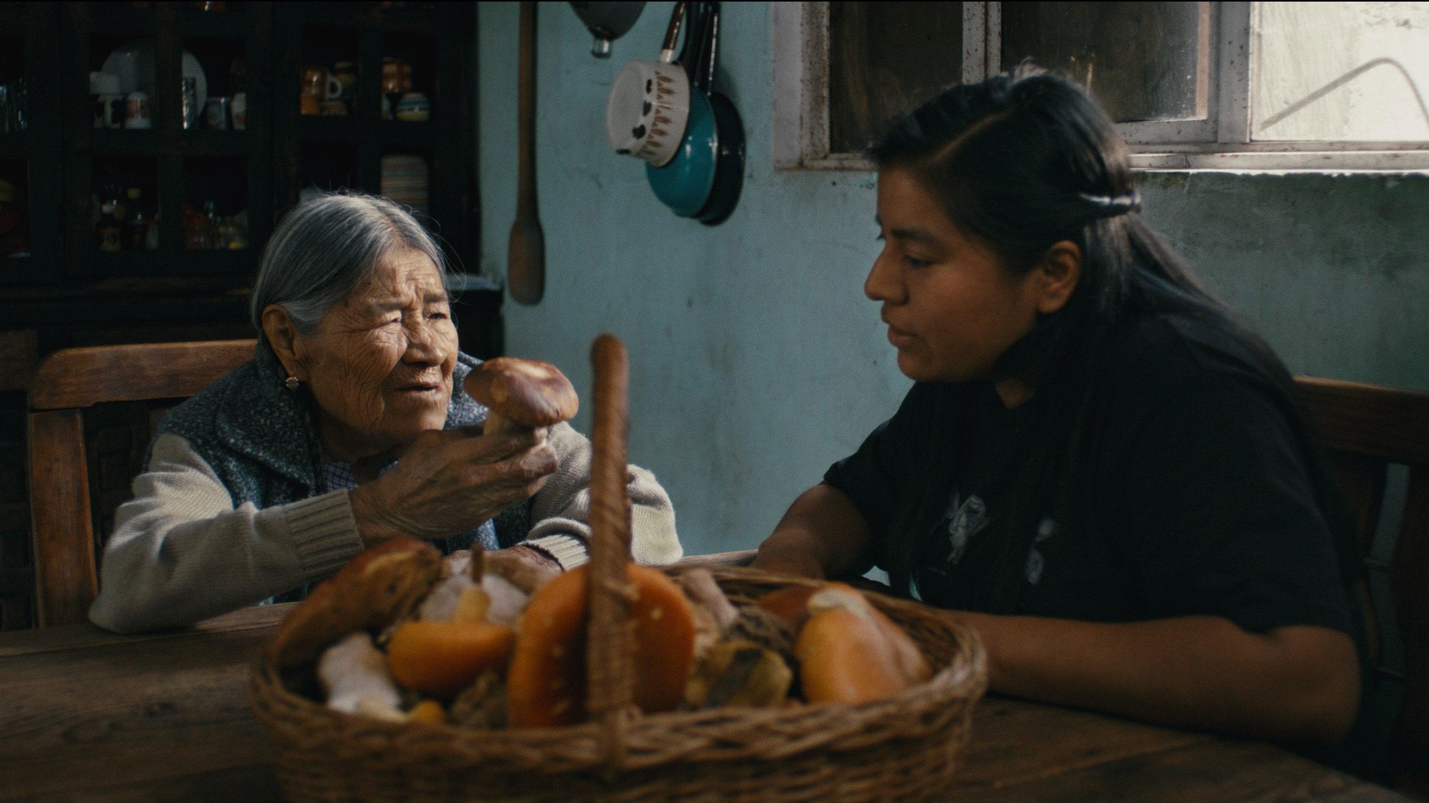 Daughters of the Forest 2026 movie scene