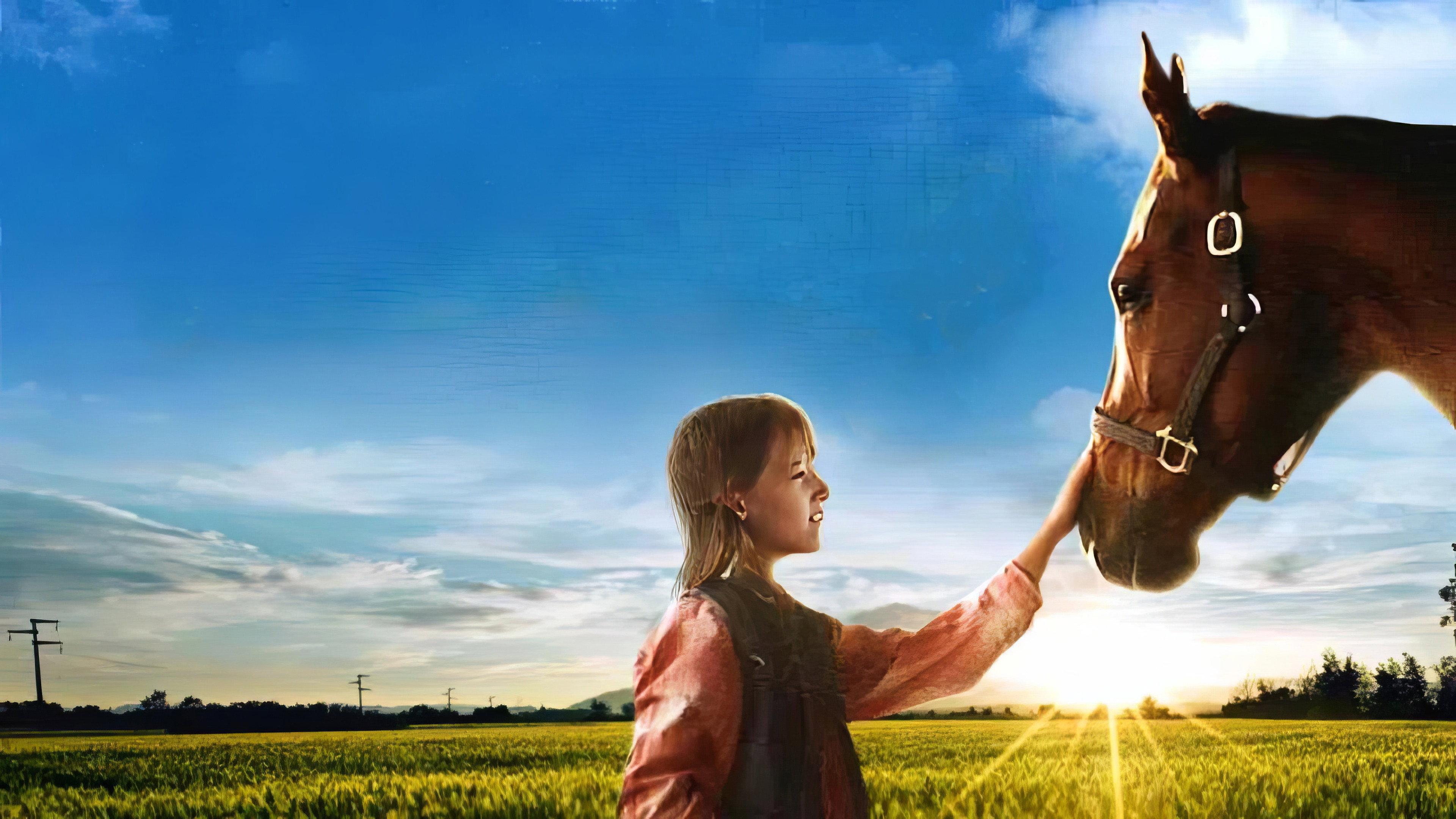 A Horse for Danny 1995 movie scene