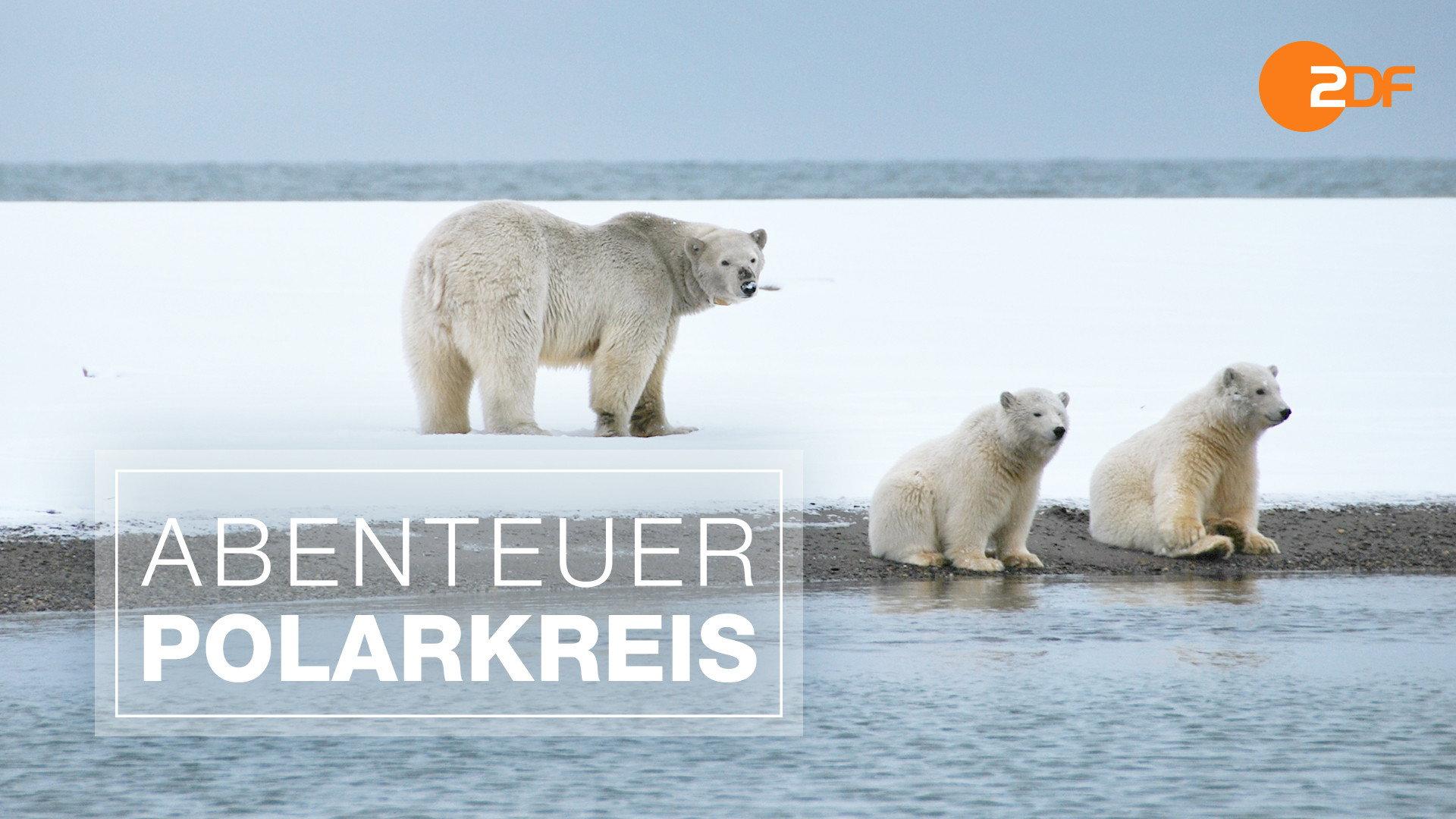 Abenteuer Polarkreis 2016 movie scene